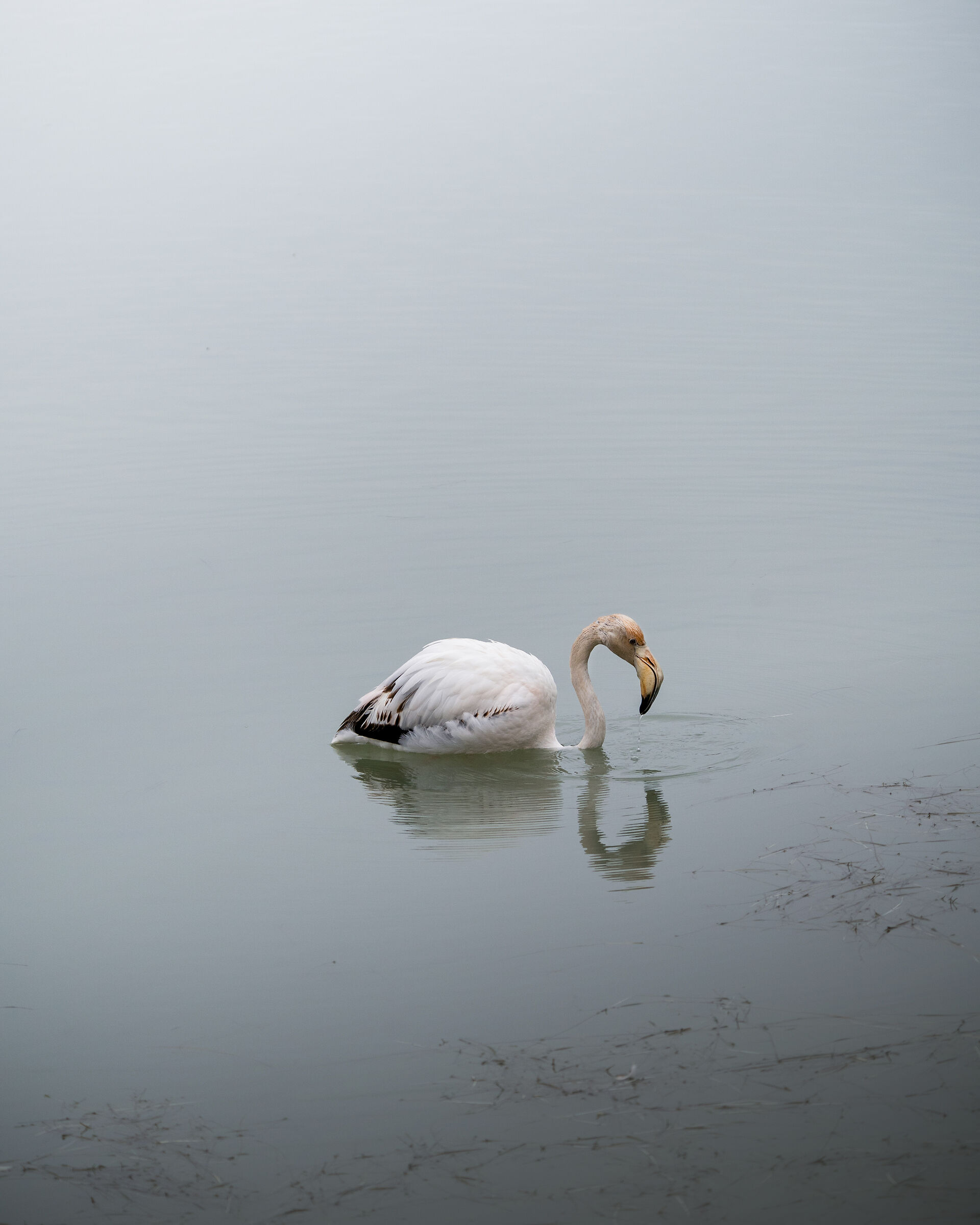 Loneliness
