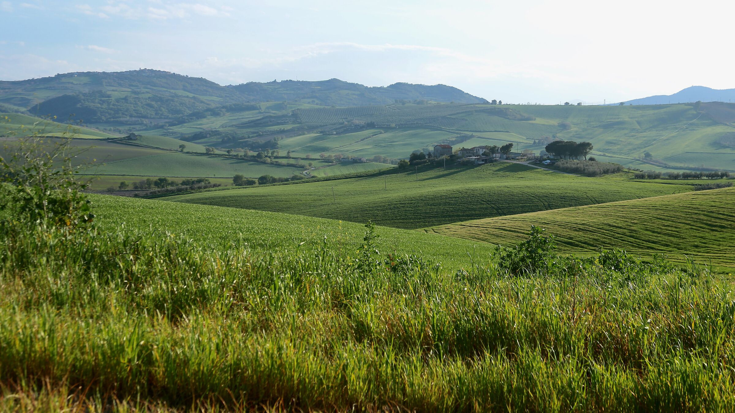 Incroci nel verde delle colline Molisane.