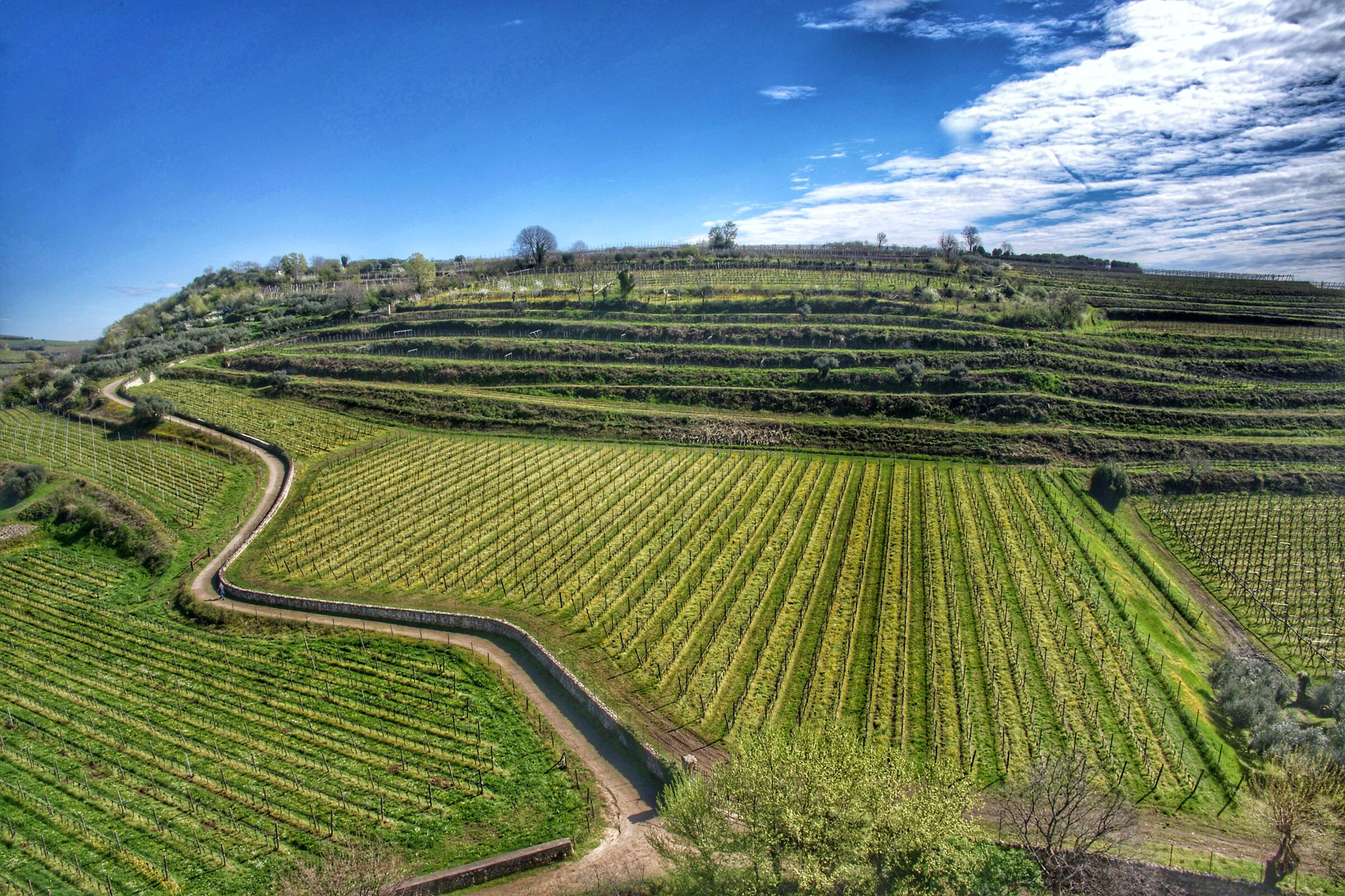 Climbing towards the vineyards