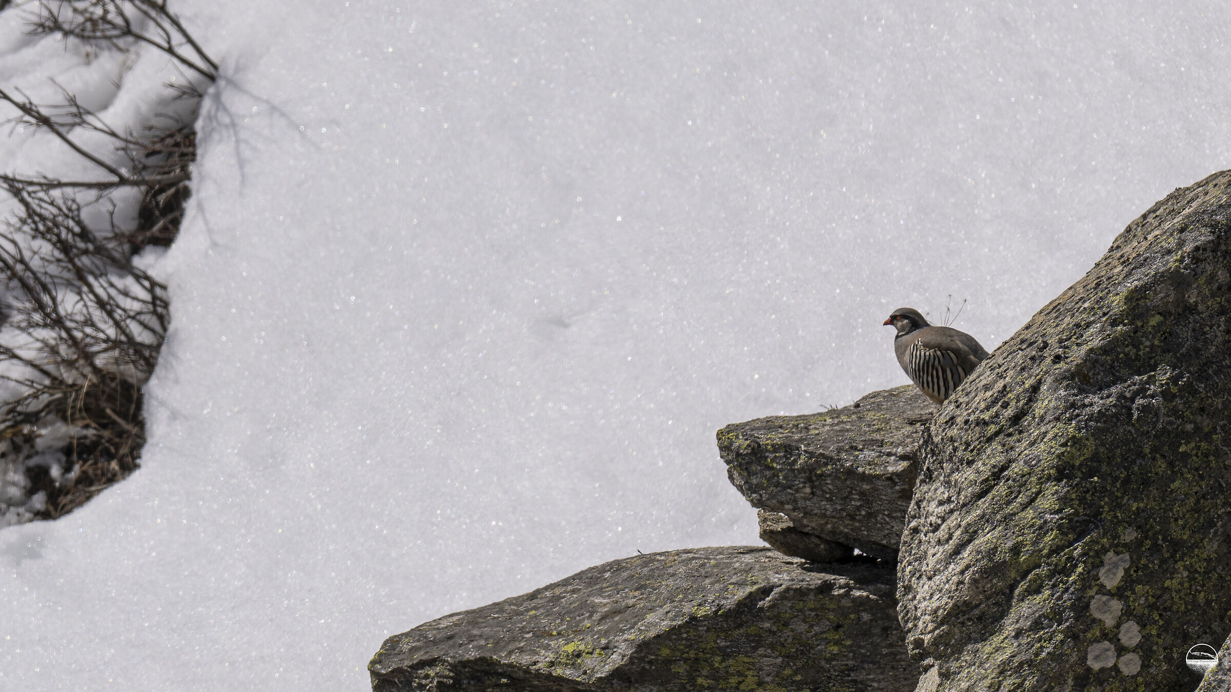 all'ombra dell'ultimo sole....