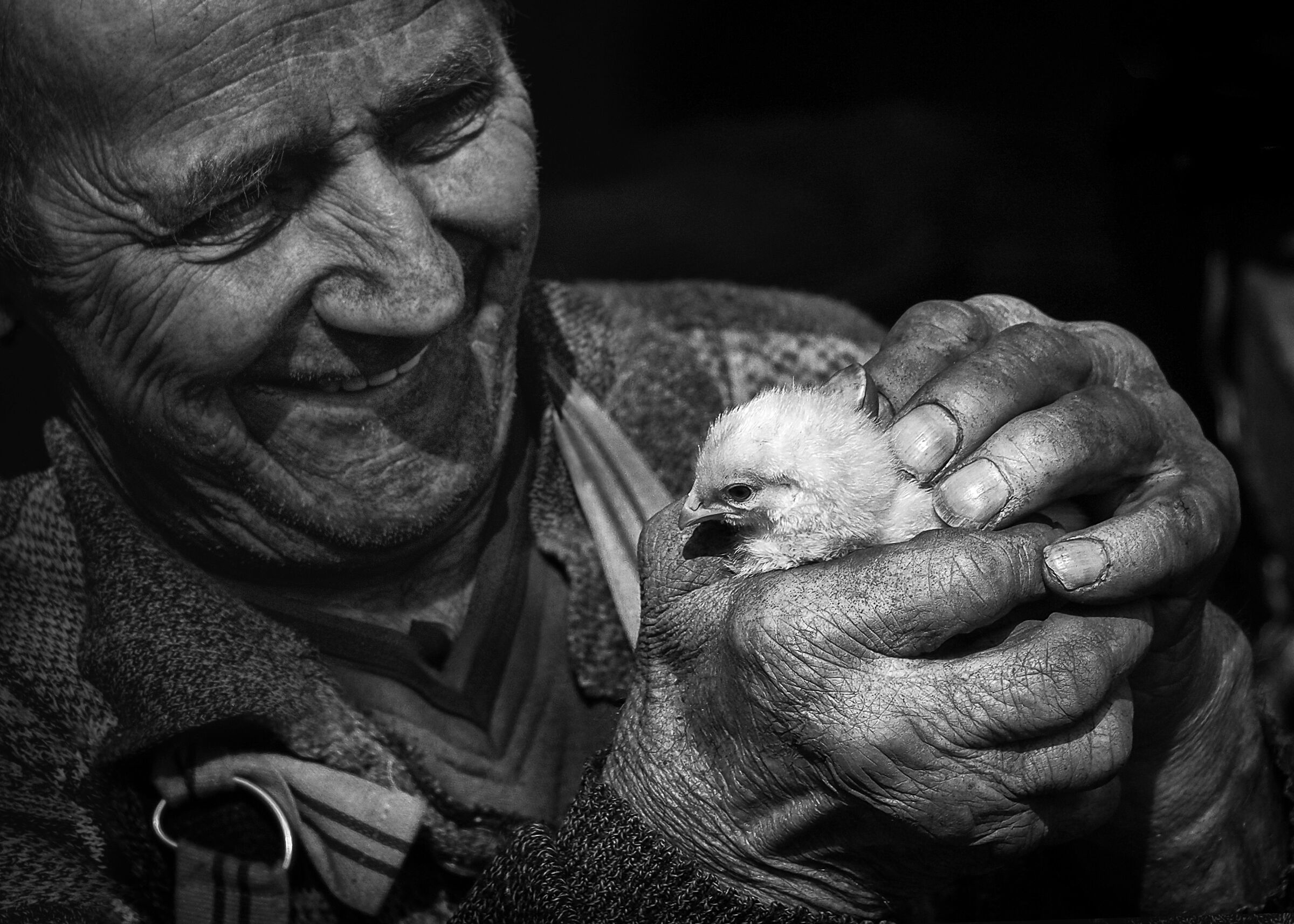 La piccola gioia del carbonaio