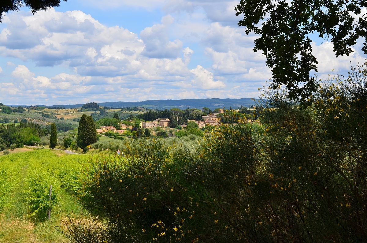 campagna toscana petrognano