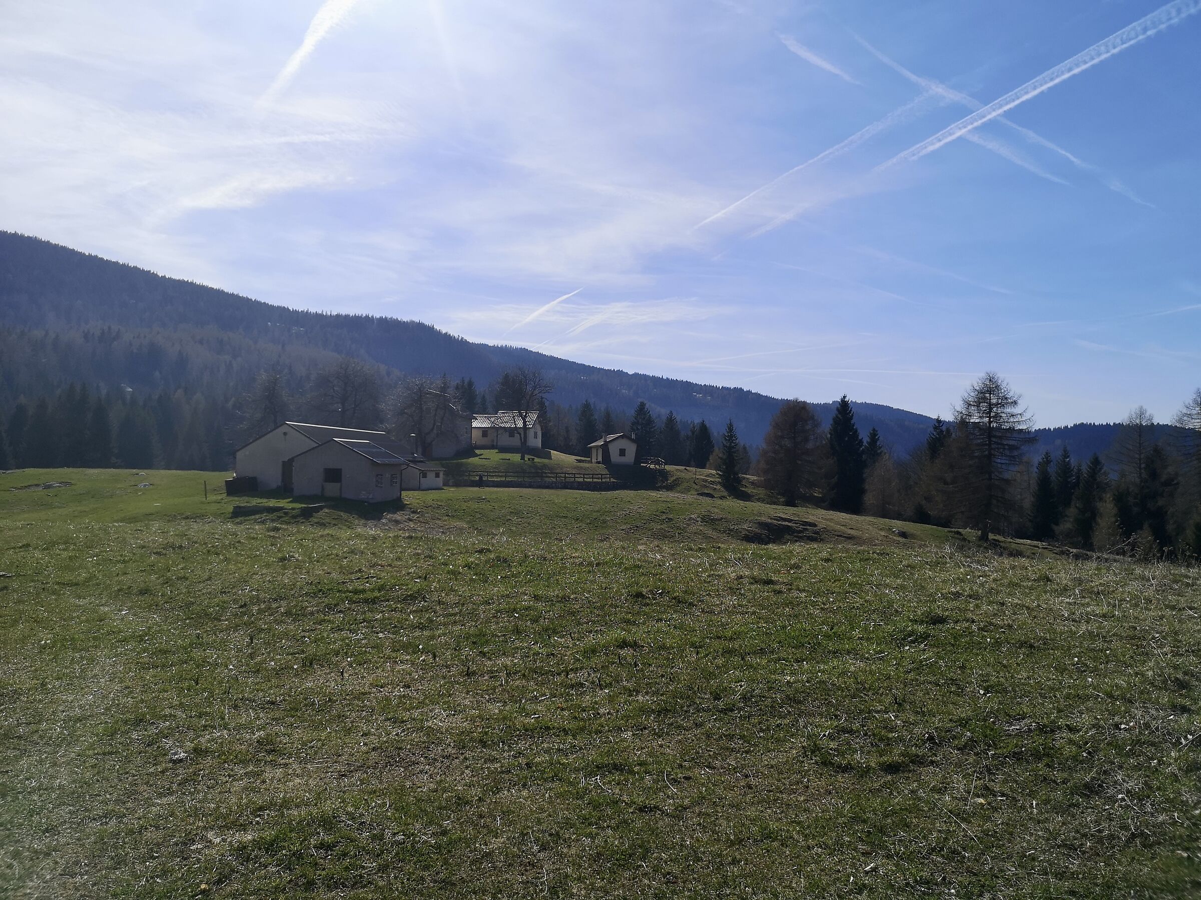 Fiorentini