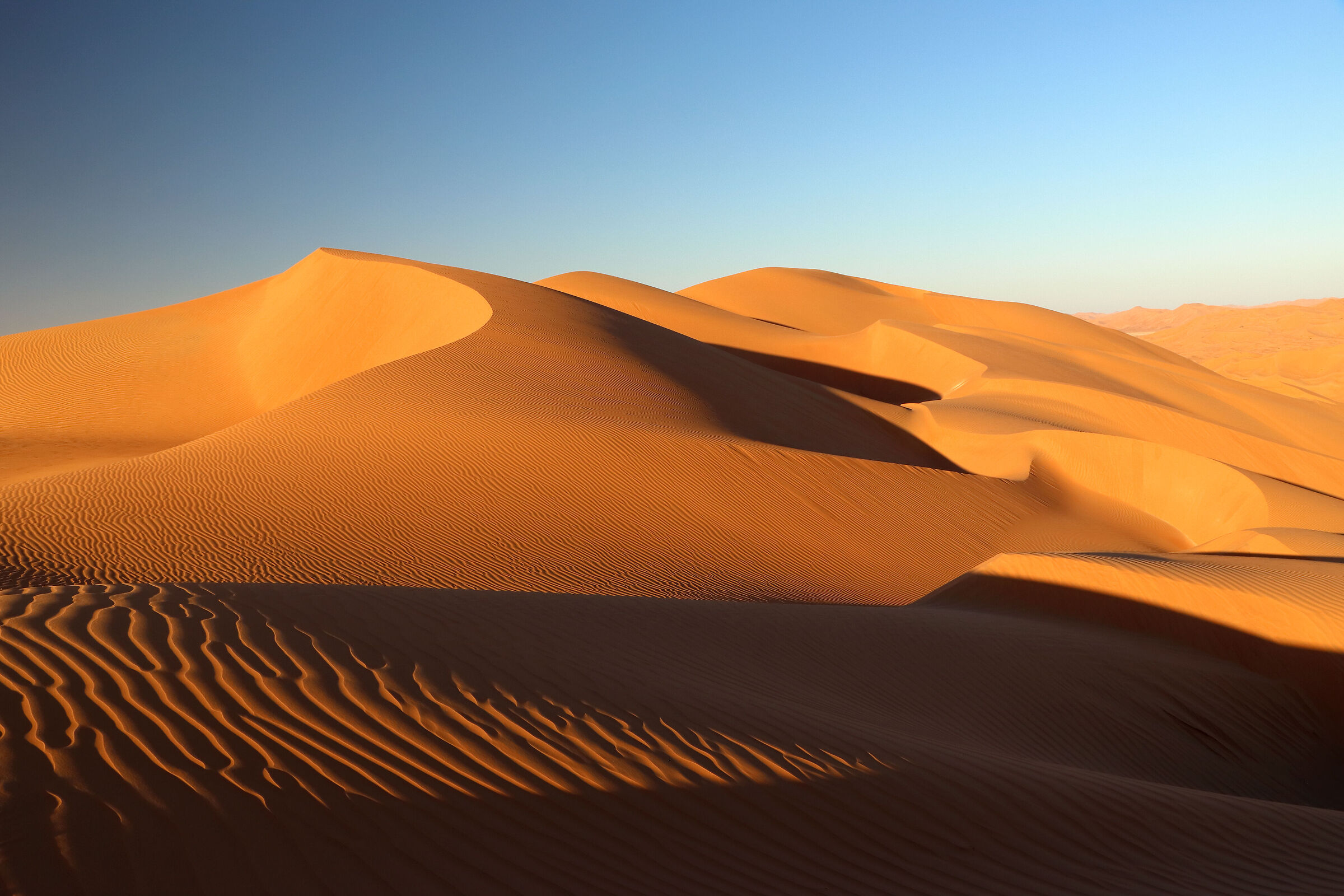 The charm of the dunes