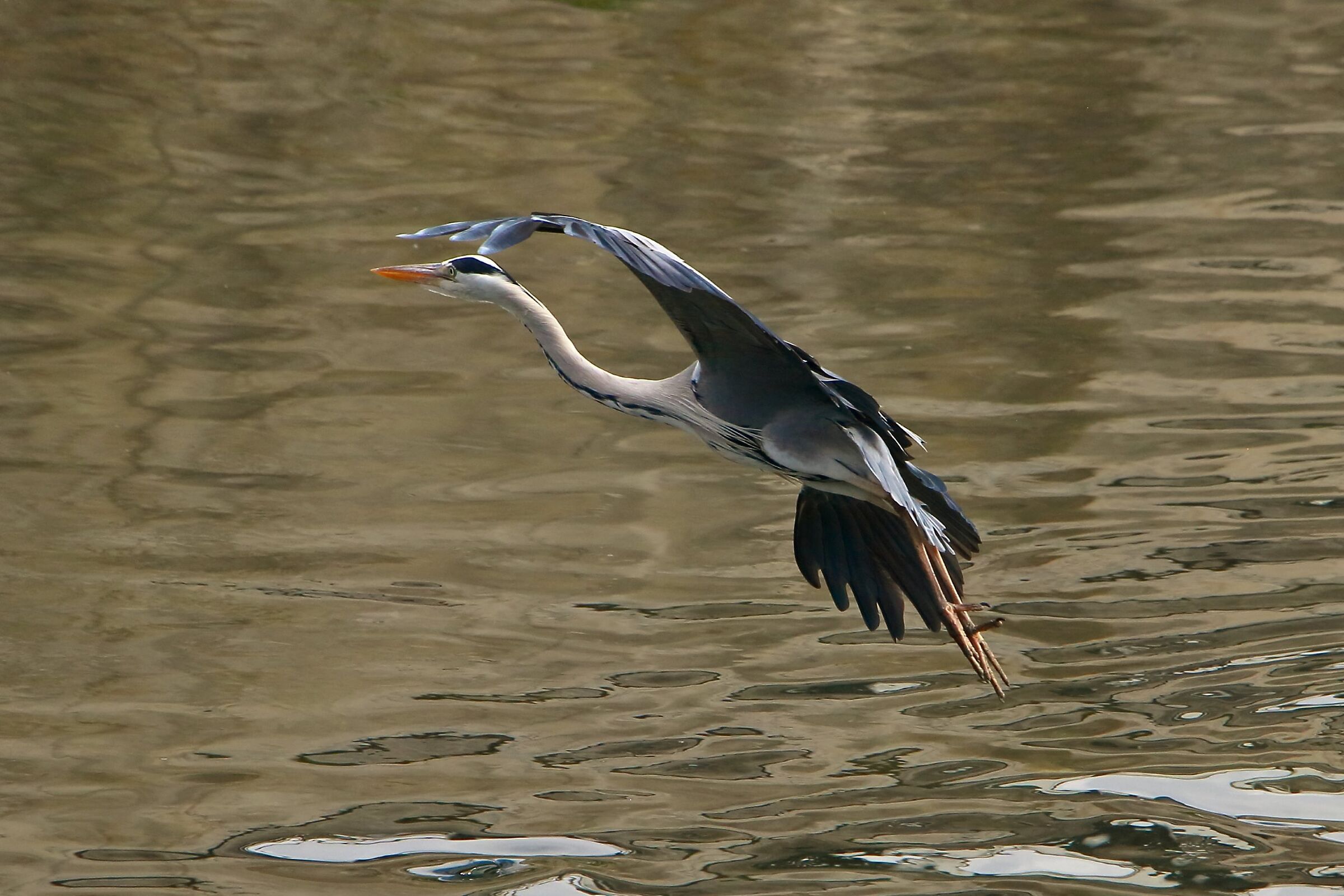 Lo stacco e la virata