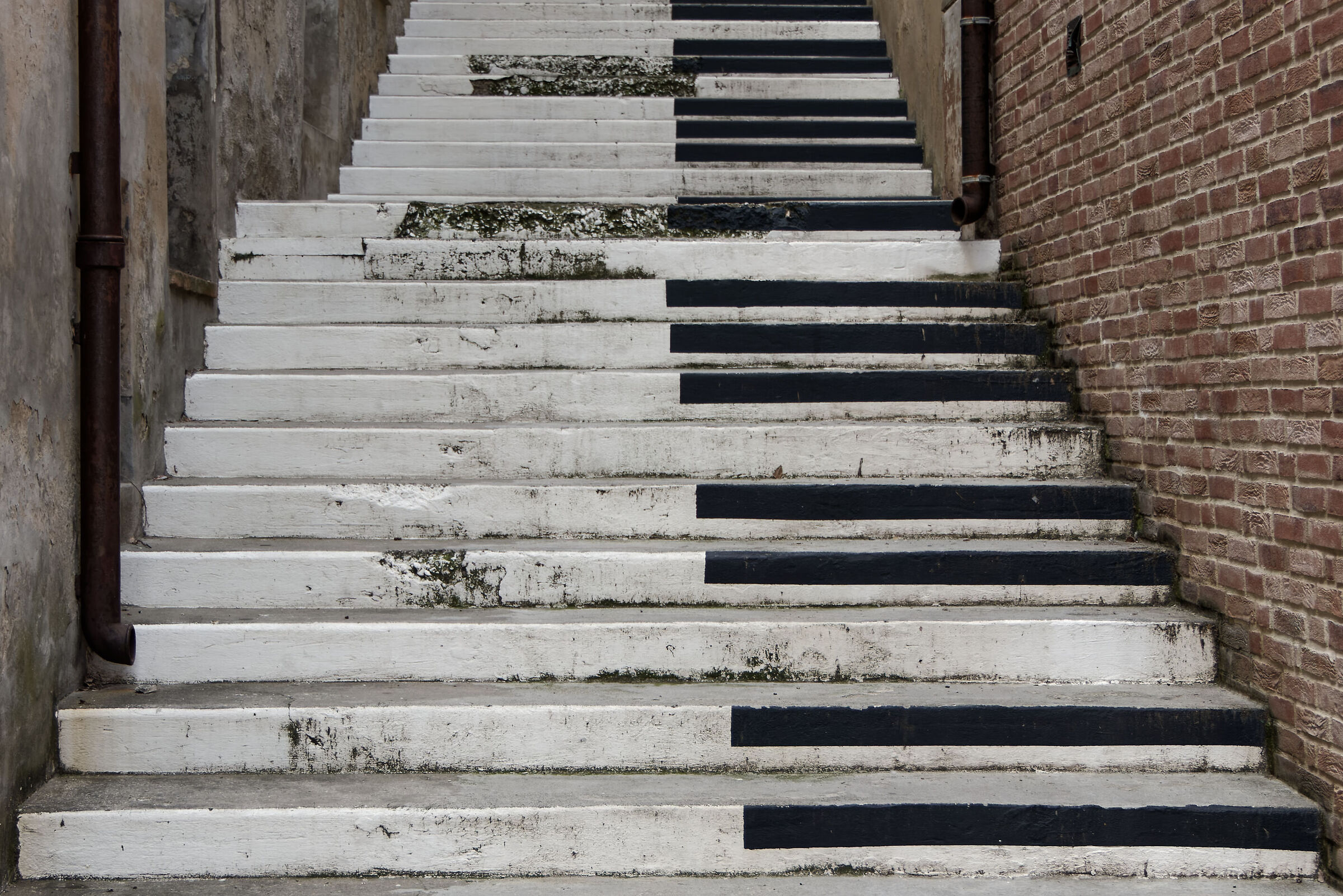 MONDOLFO_2022 (_1140202-1)