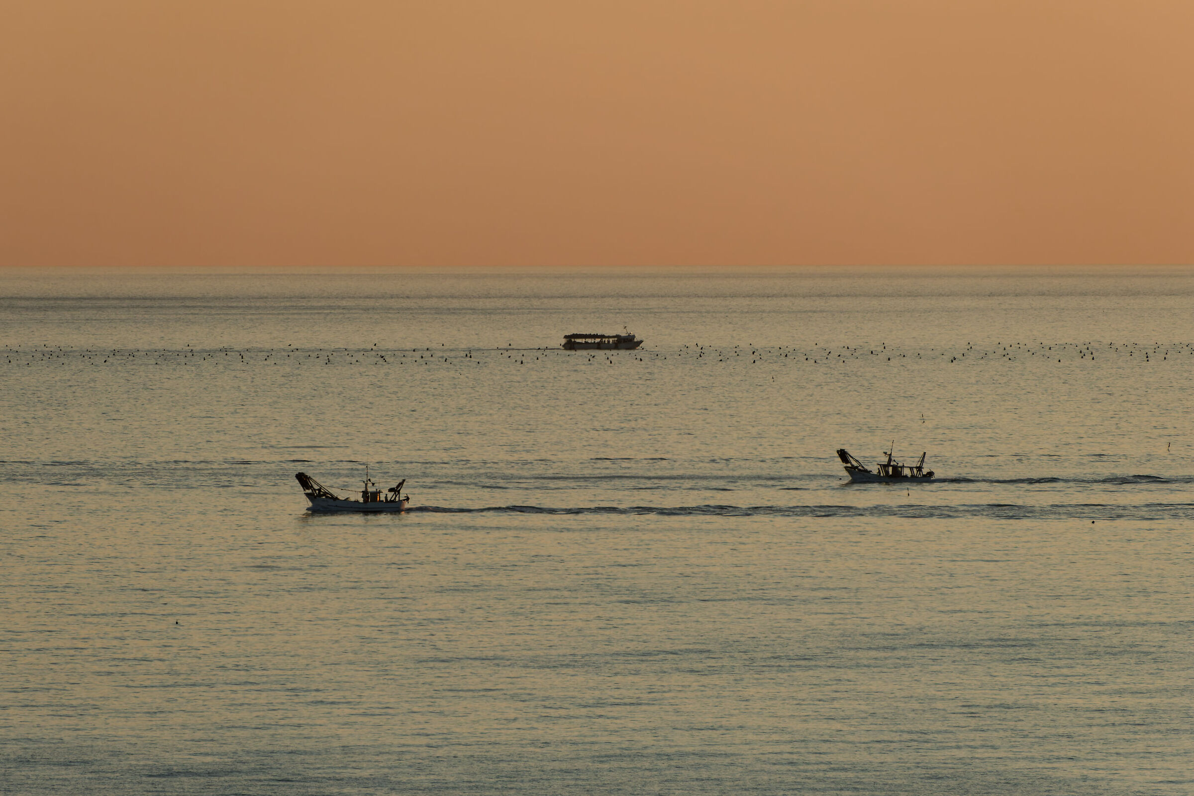 SAN VITO CHIETINO_2019 (_1130753-1)