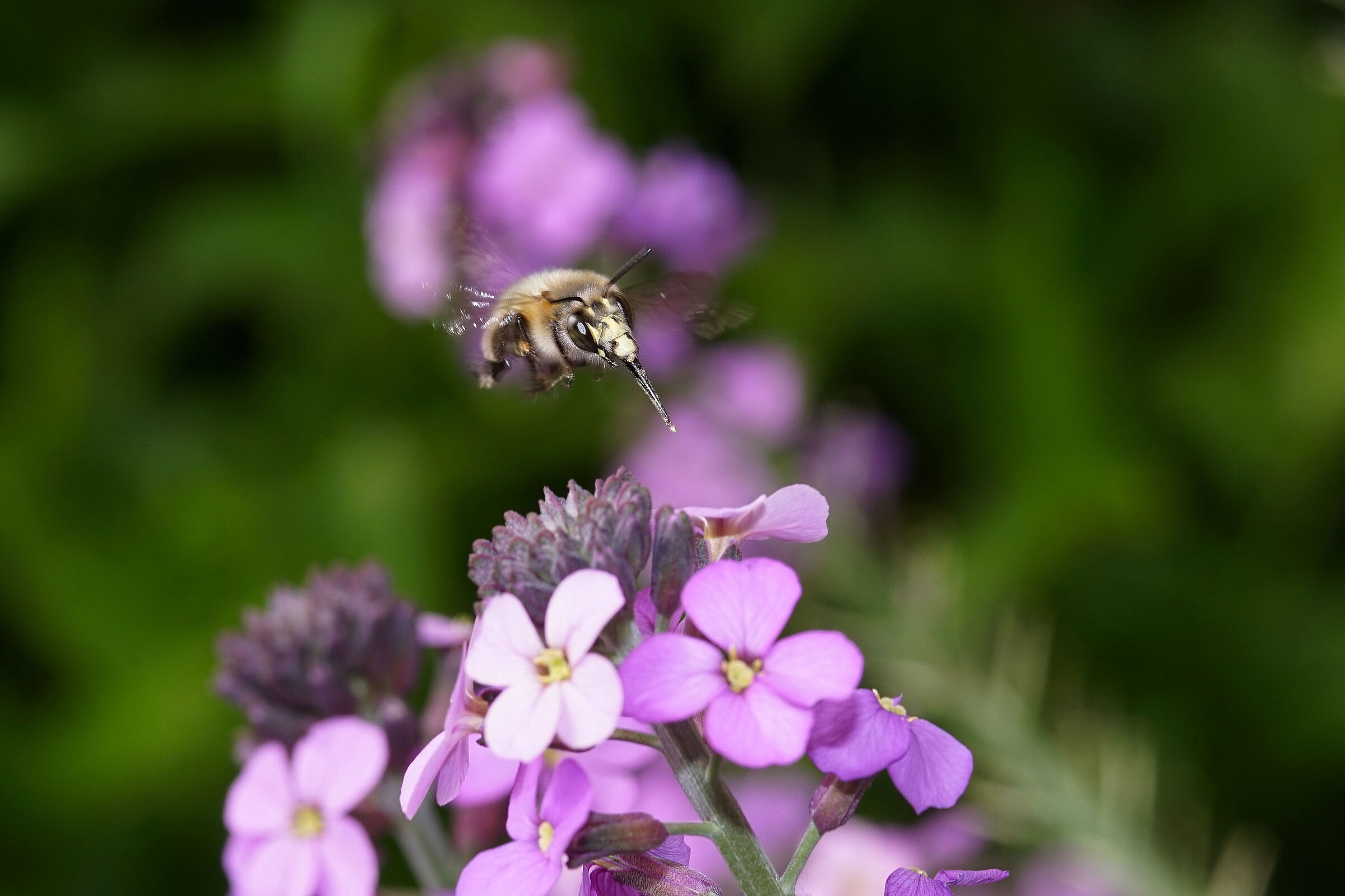 Pronto all'atterraggio...