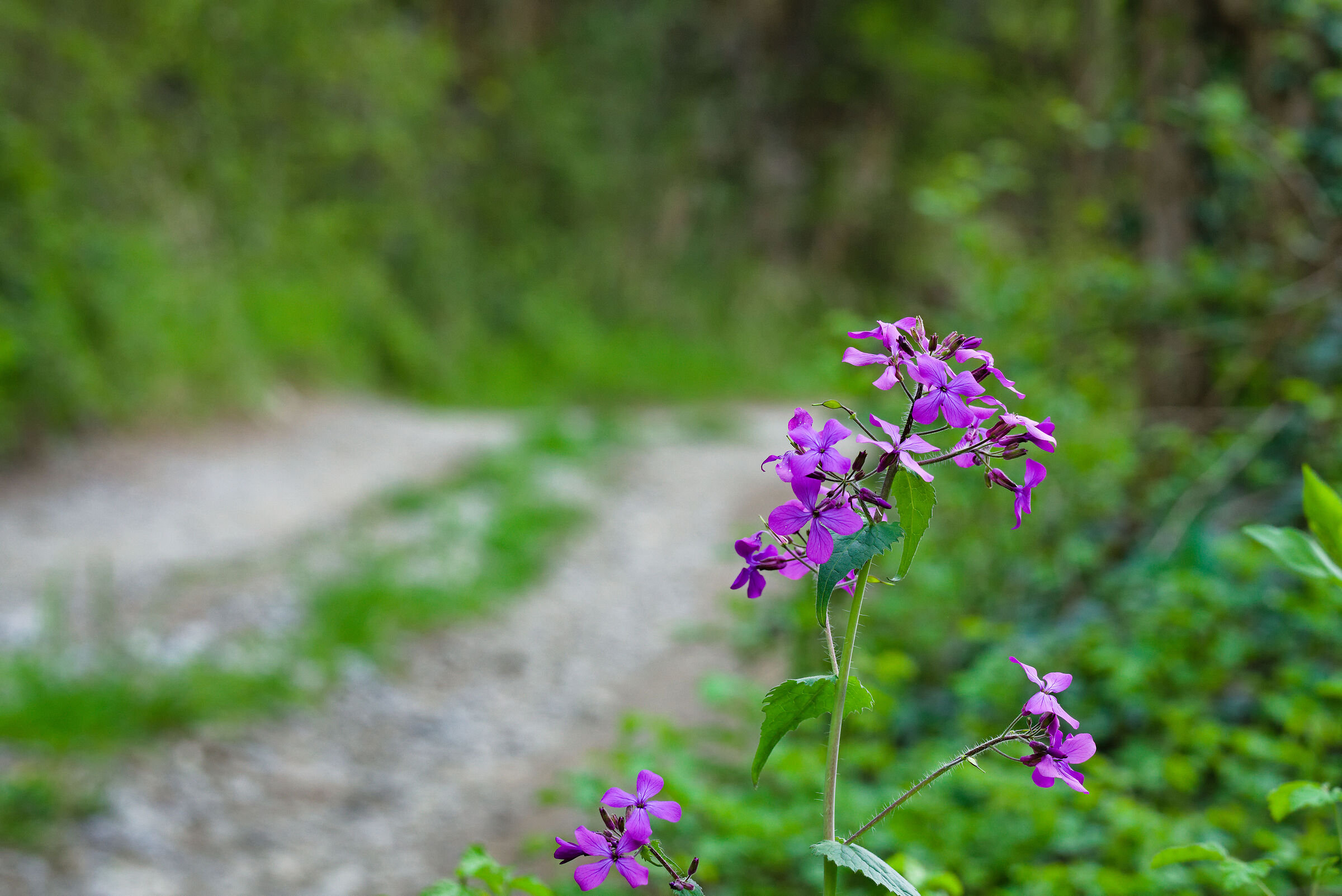 Untitled Photo