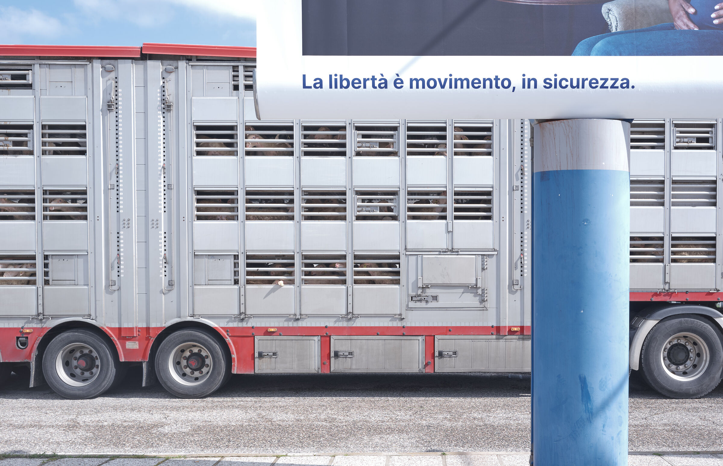 La Libertà