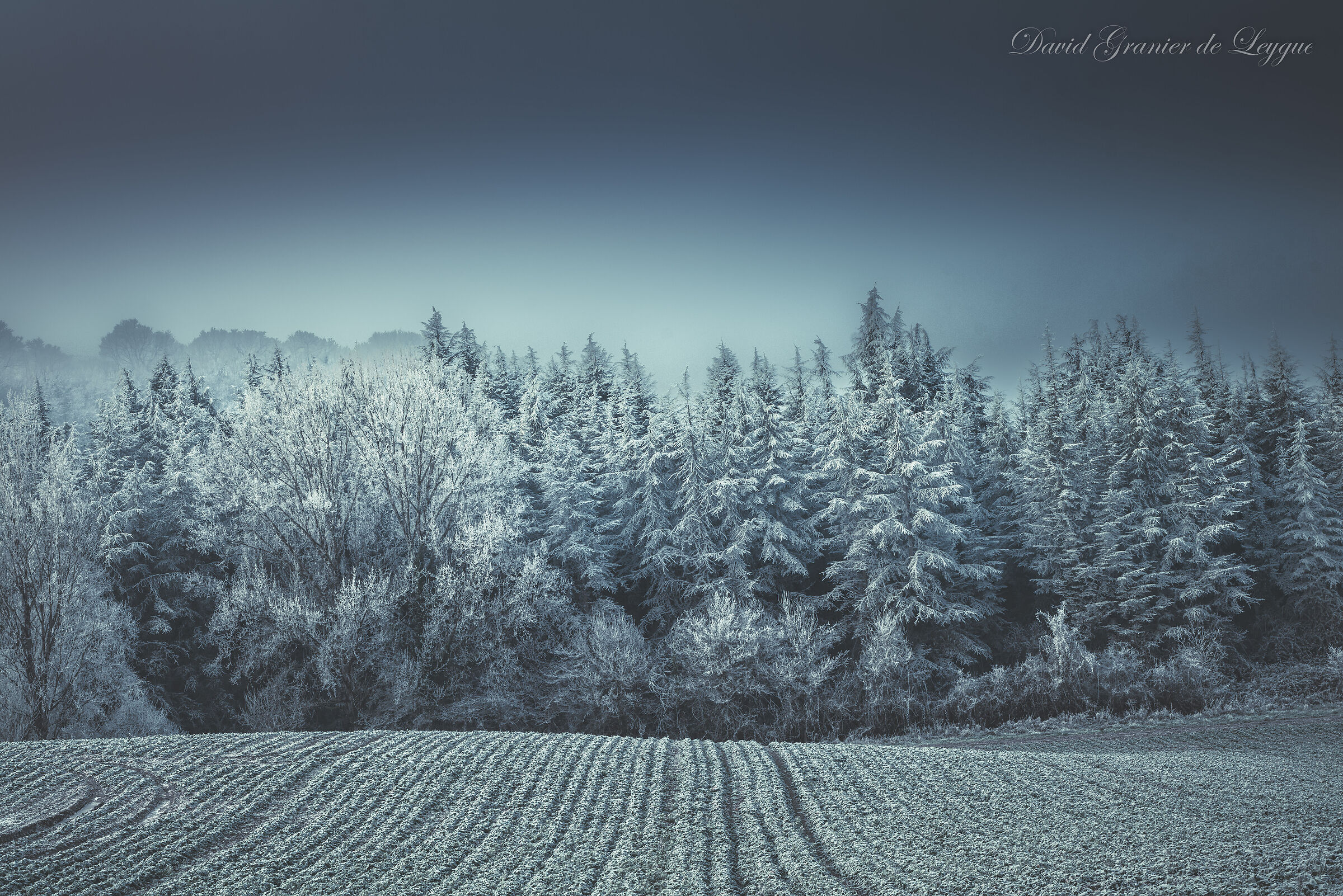 A winter of 2025 in the frozen plains