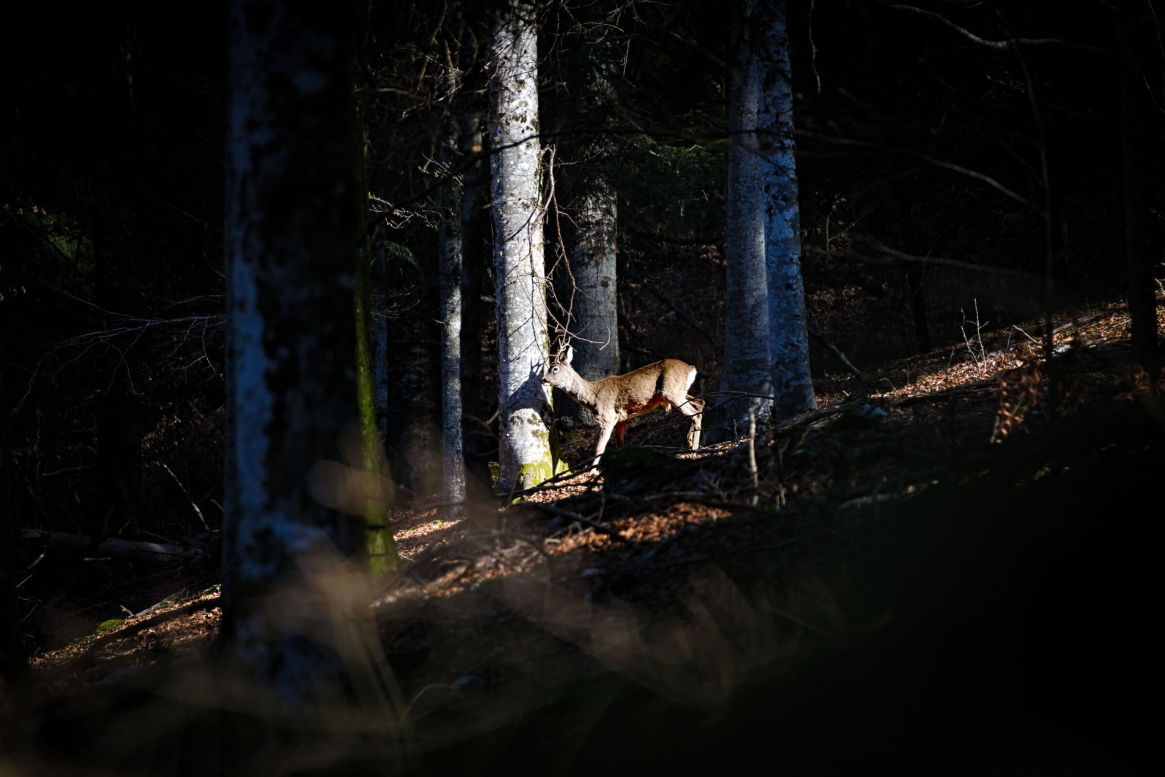 Sotto questo sole è bello passeggiare