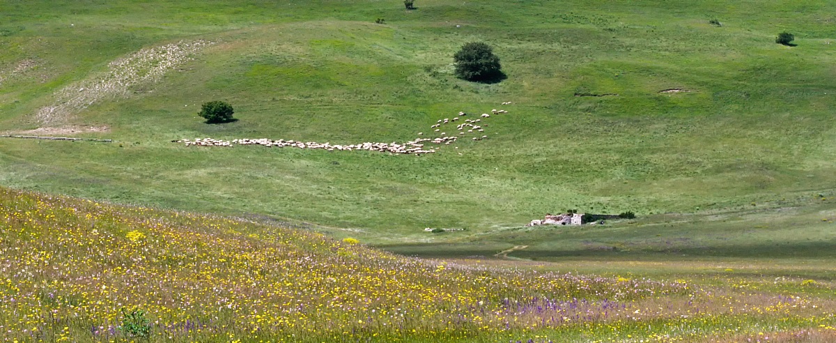 Castelluccio 8