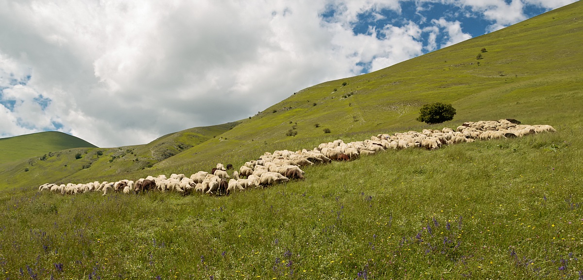 Castelluccio 9