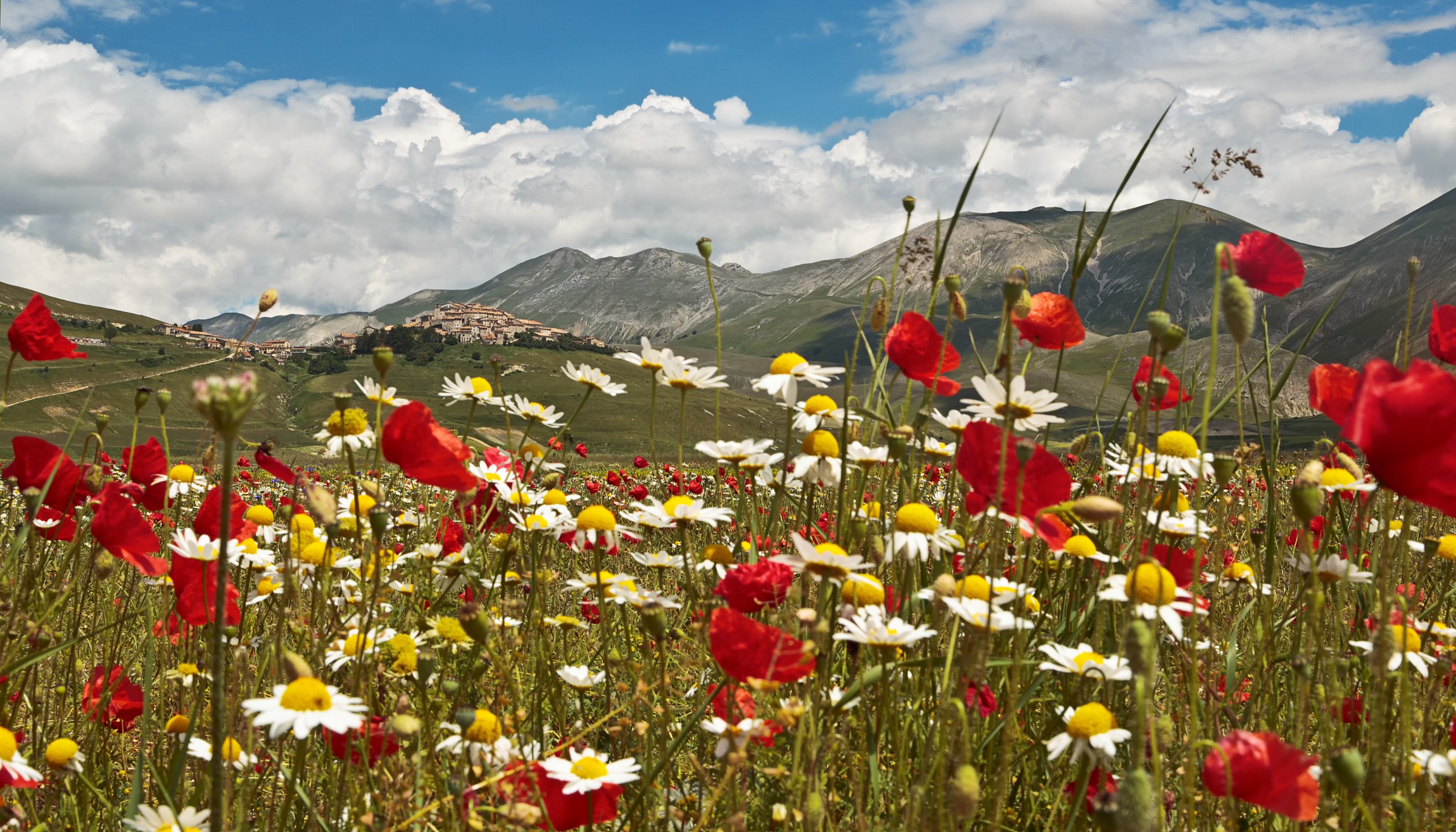Castelluccio 11