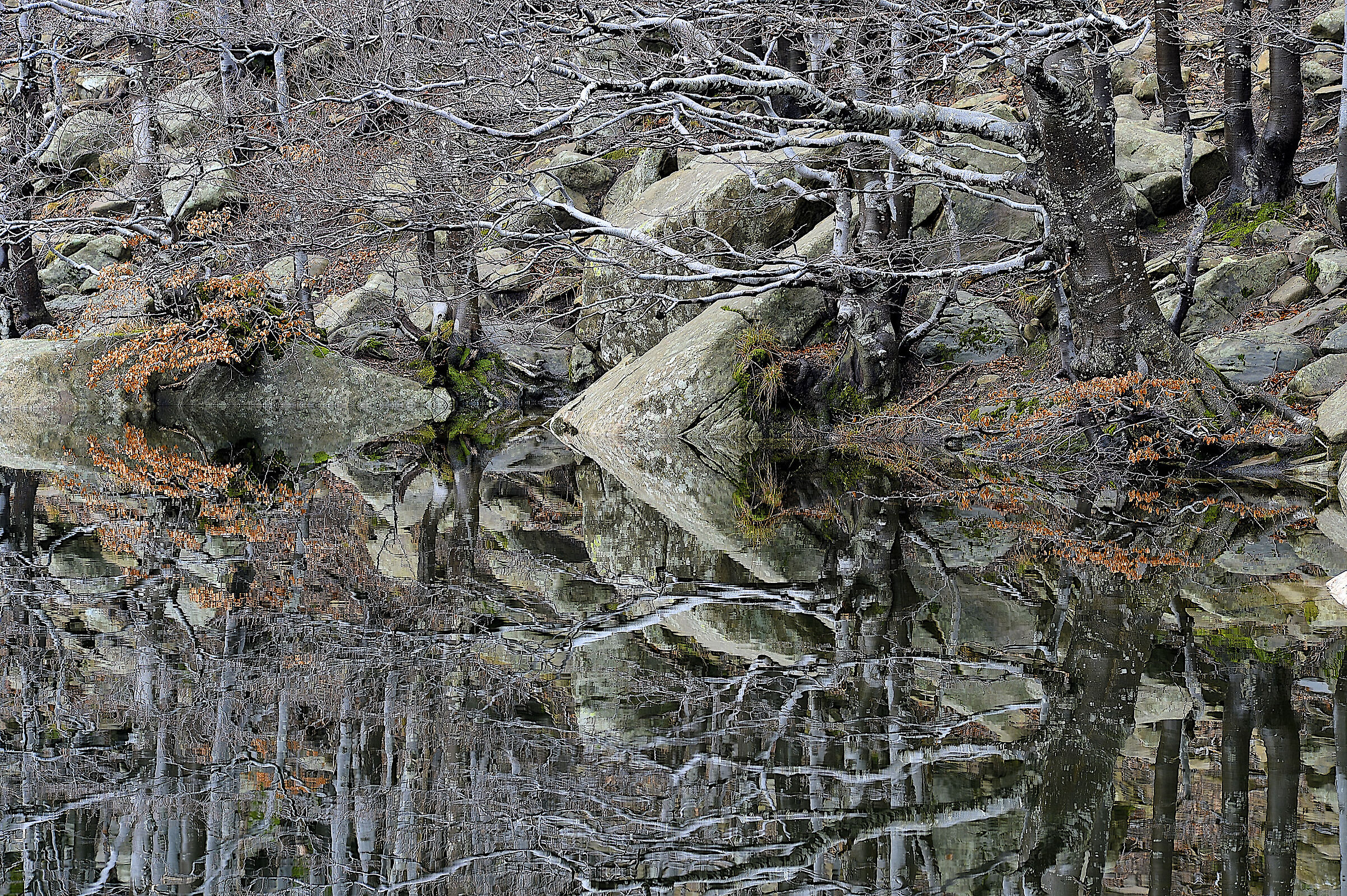 Dark Lake