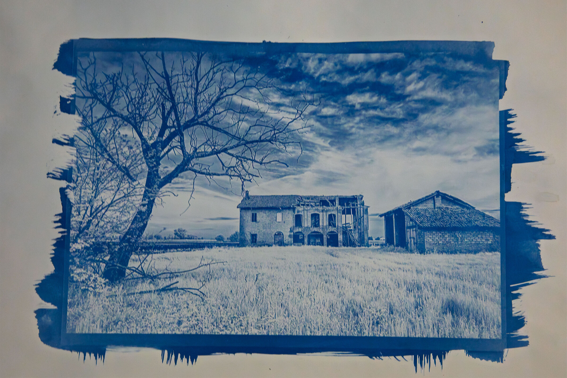 3 Blueprint