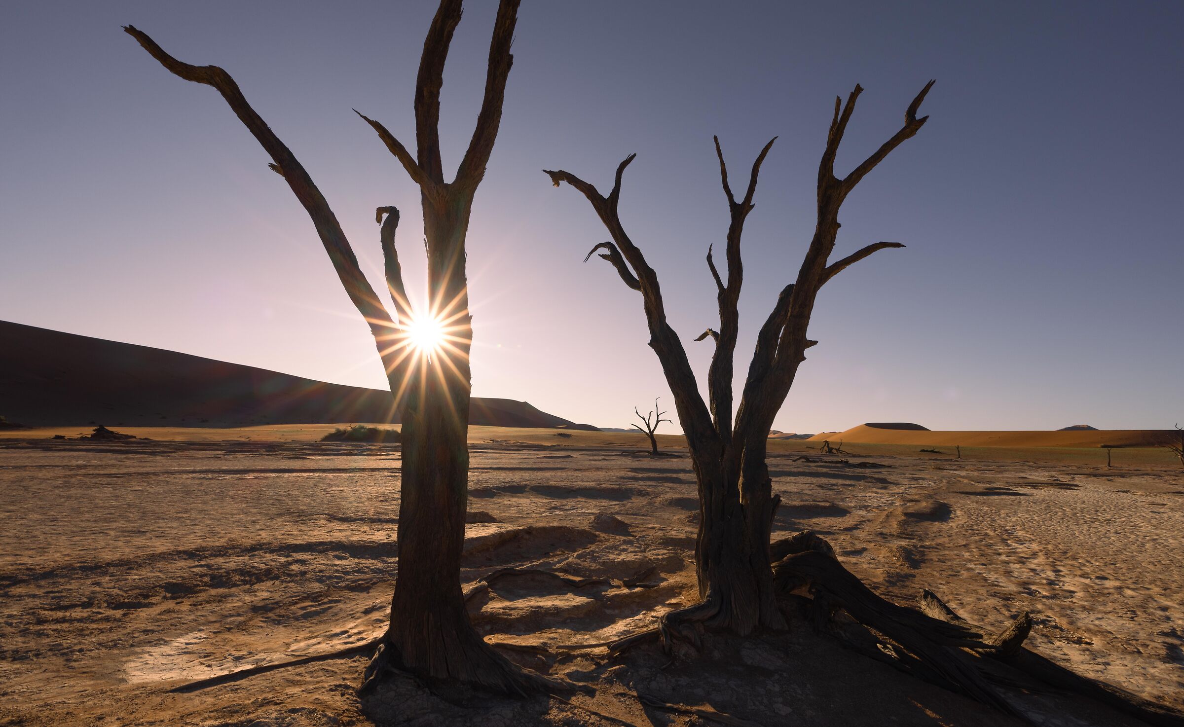 Deadvlei