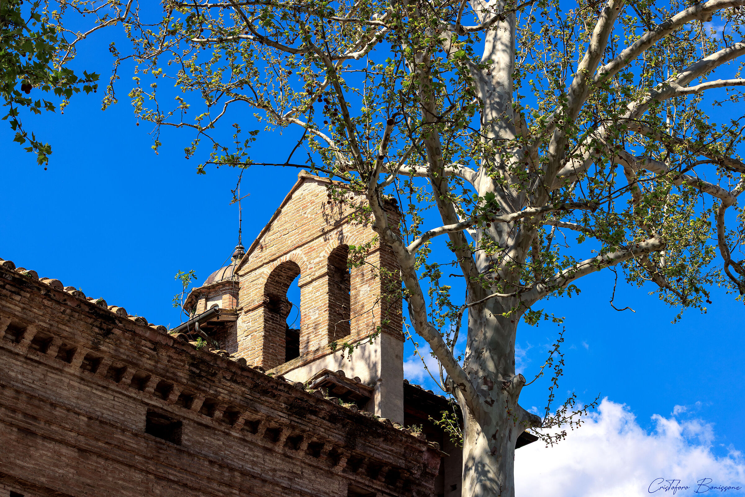 Chiesa di Santa Maria Del Carmine Terni