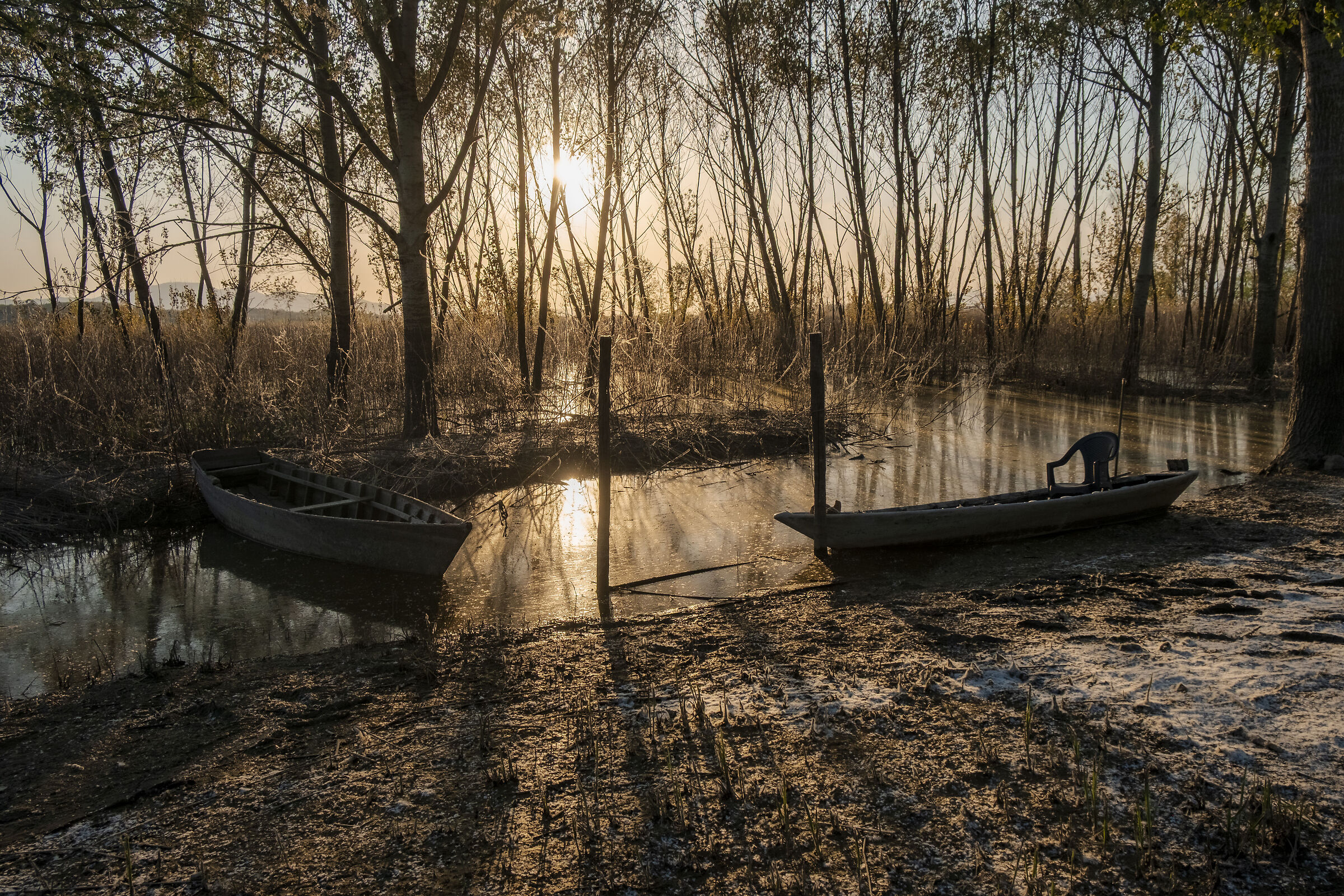 Padule di Fucecchio lato Stabbia
