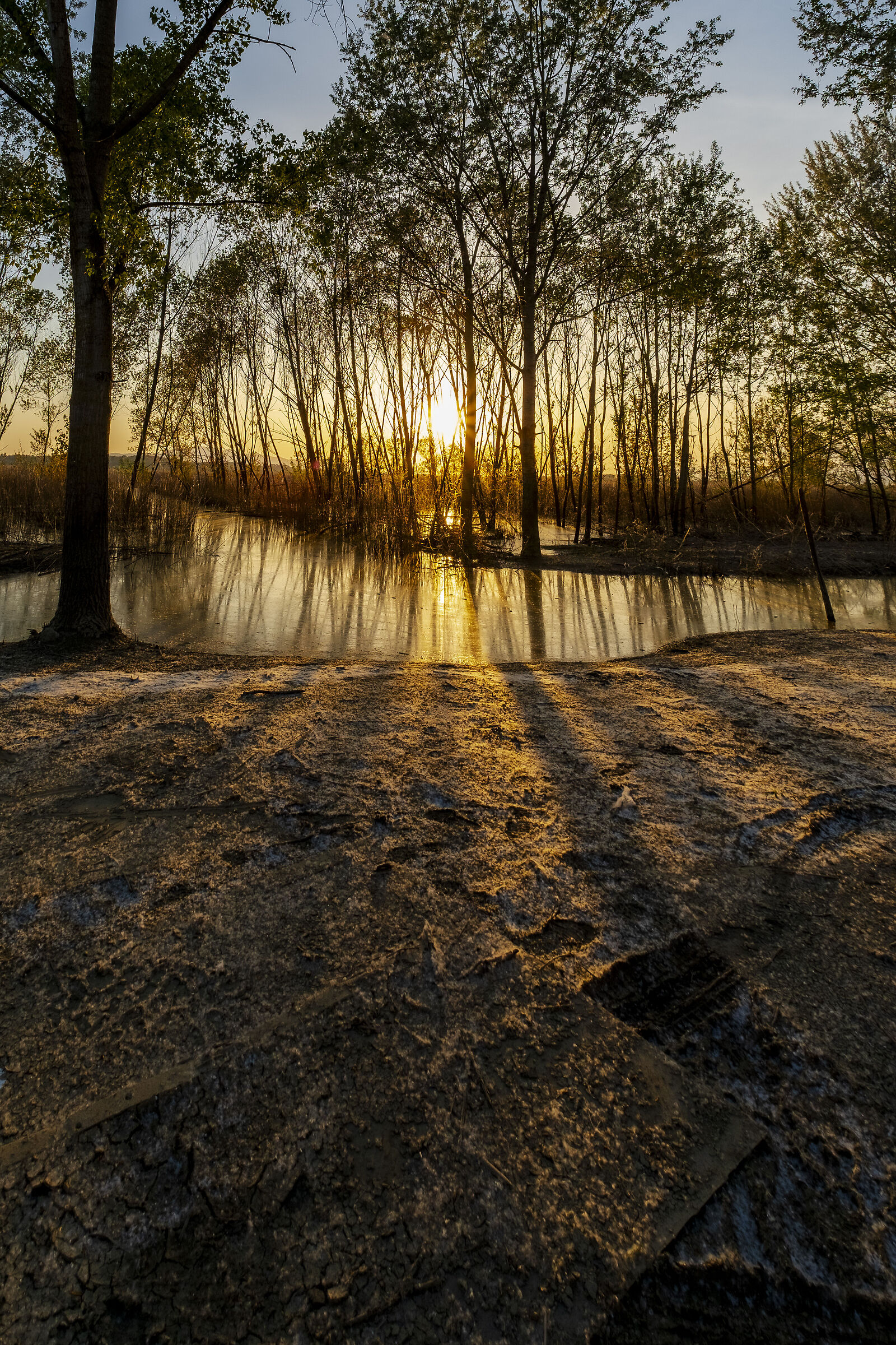 Padule di Fucecchio lato Stabbia