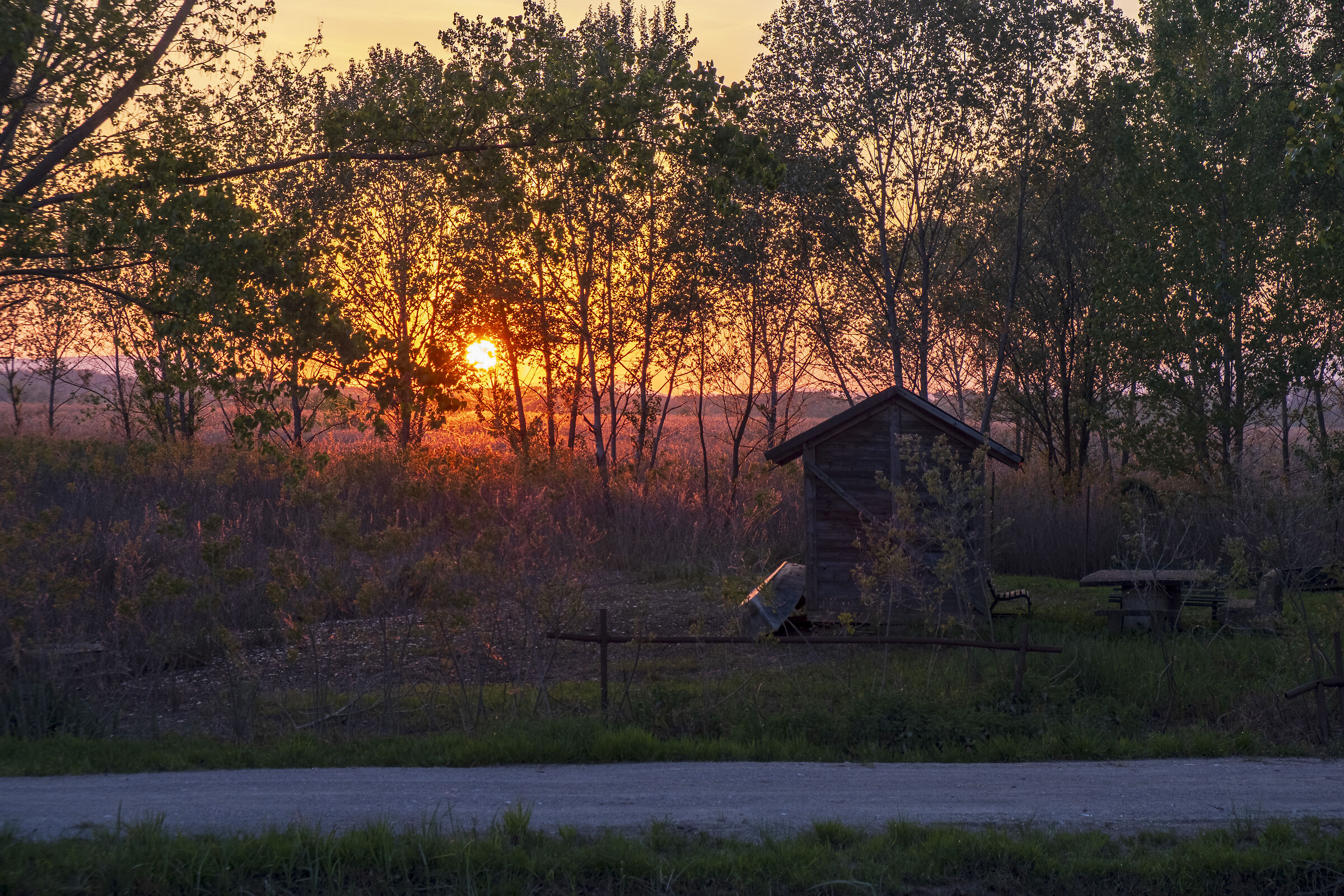 Padule di Fucecchio lato Stabbia