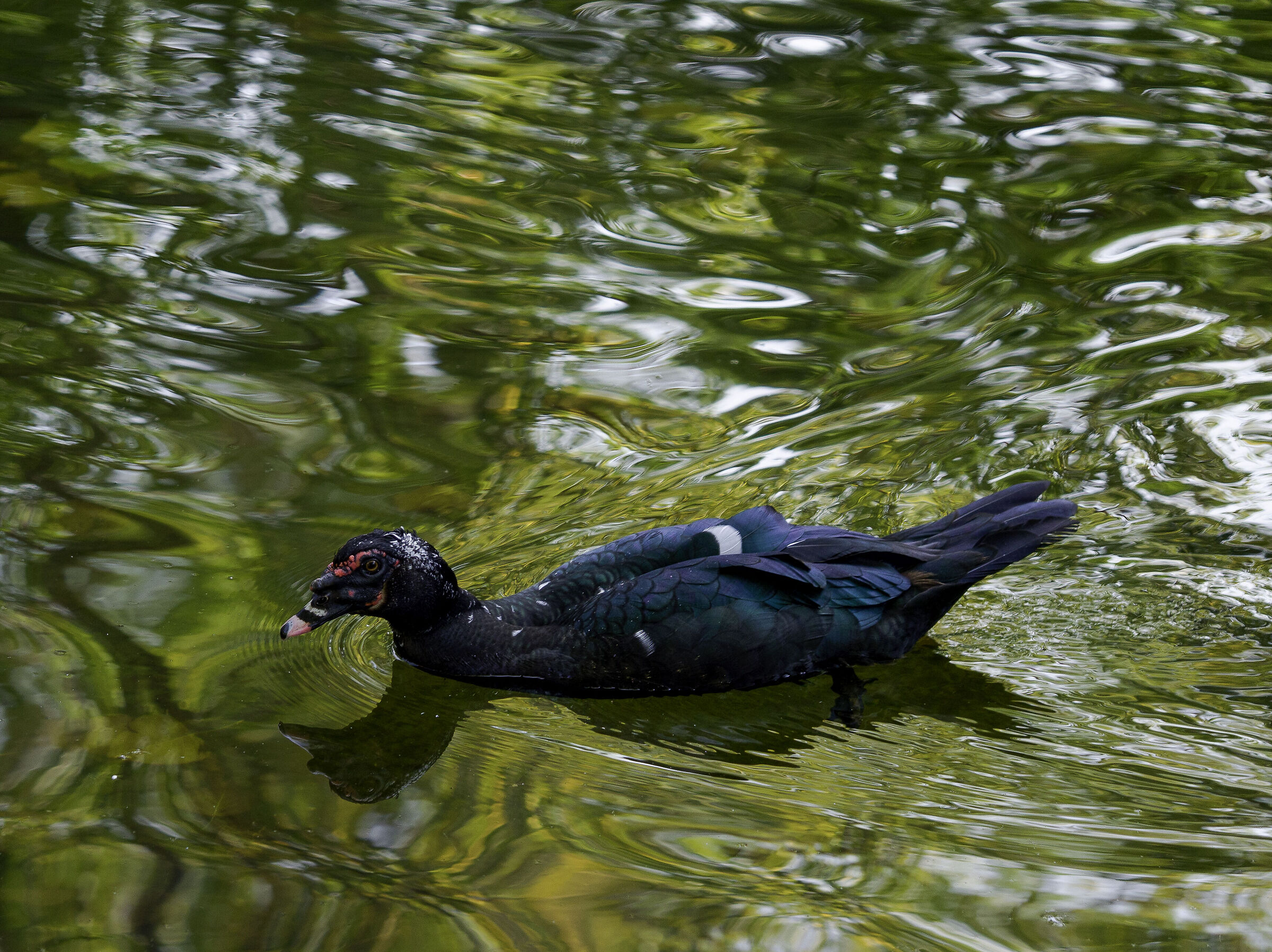 I like myself like this