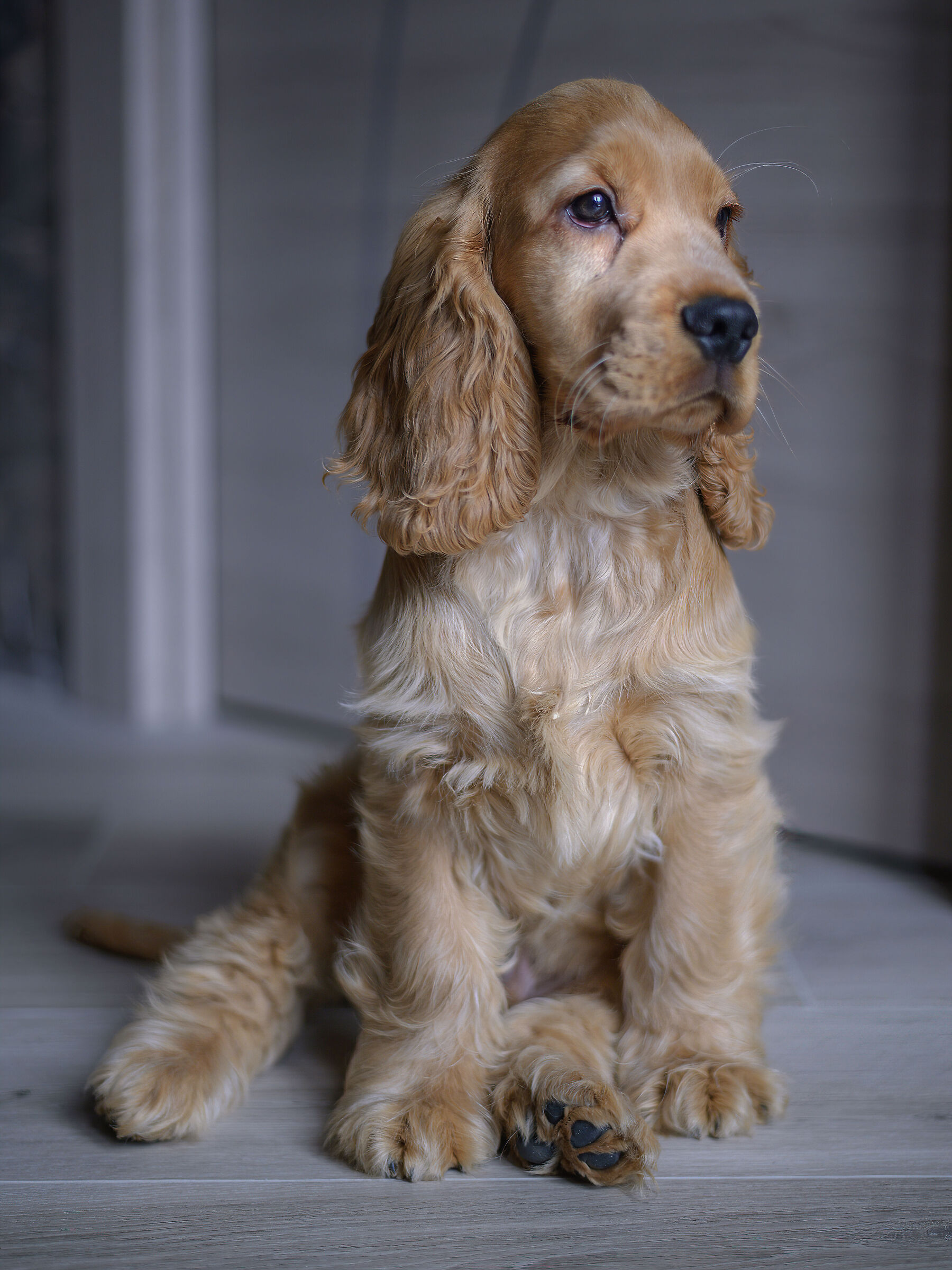 Caesar