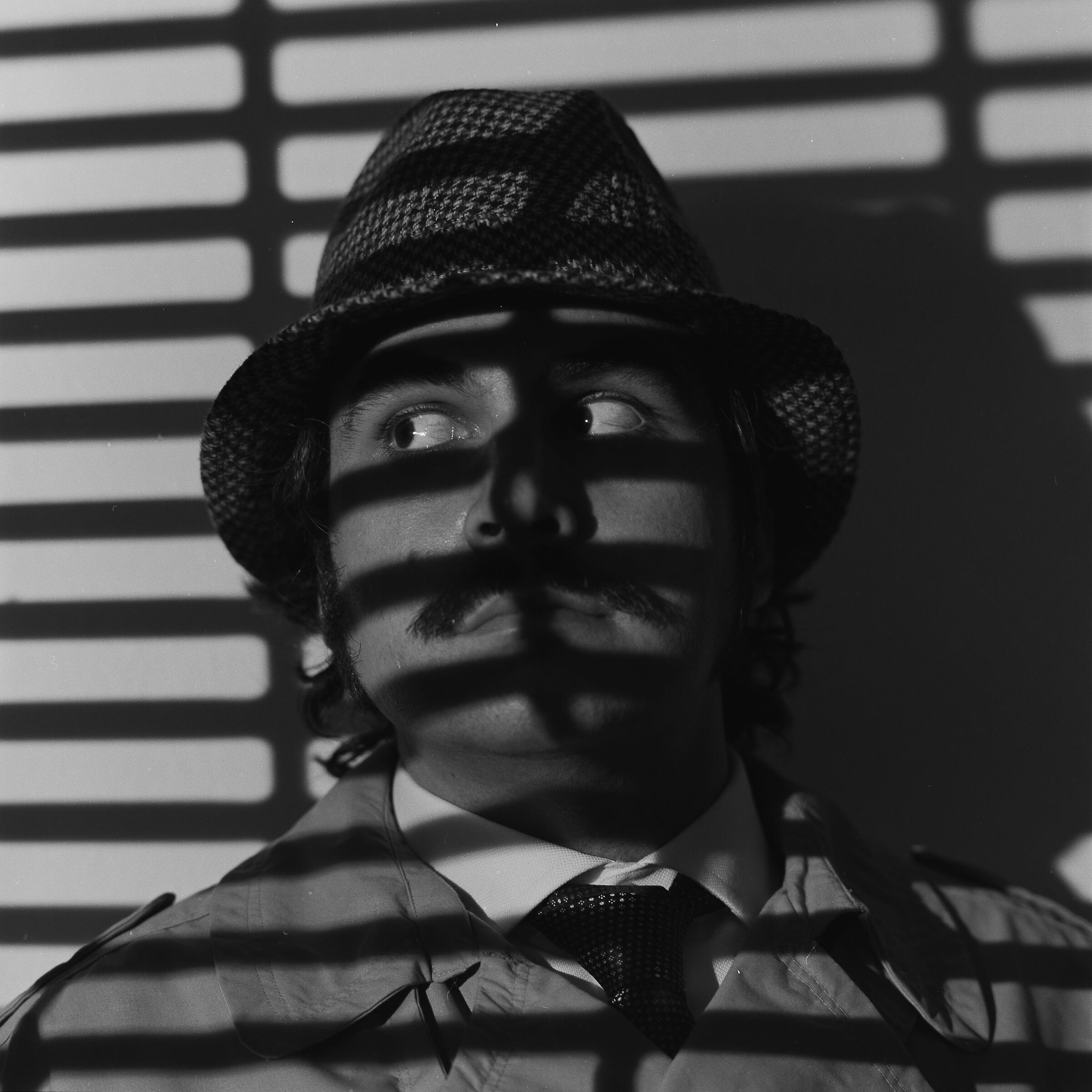 Hasselblad 500CM, Sonnar 150mm, Ilford FP4+, D76