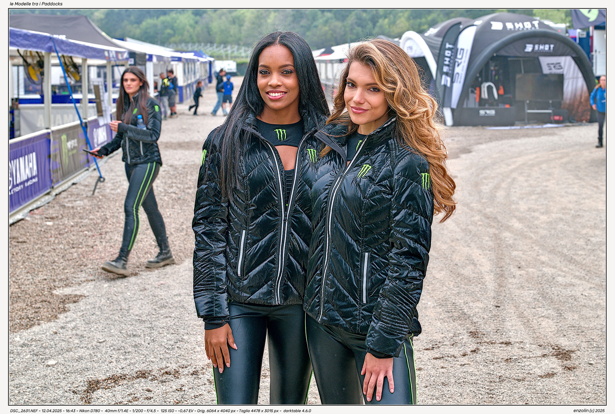 the Models in the Paddocks