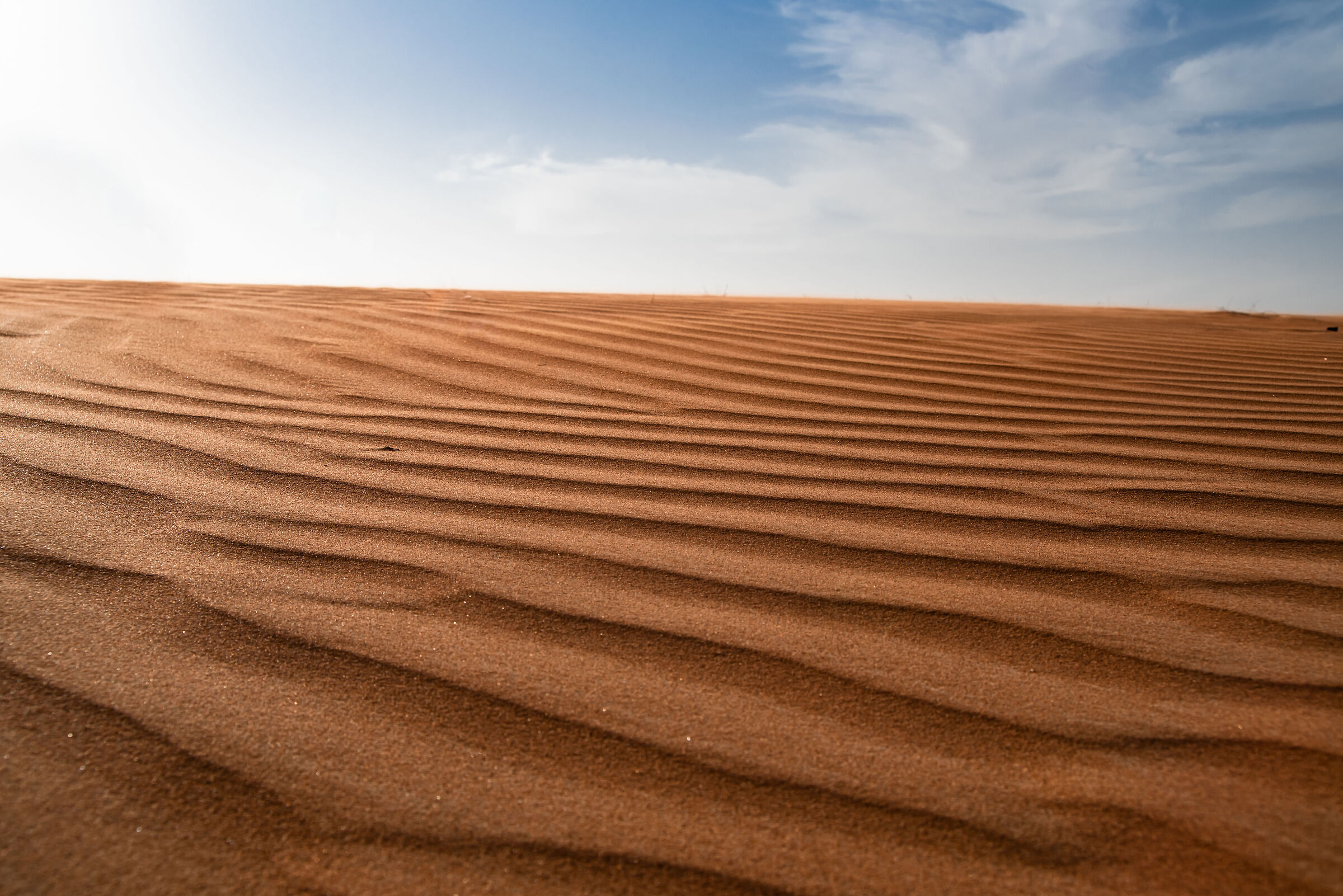Il deserto di (Fossil Rock - Mleiha Desert).