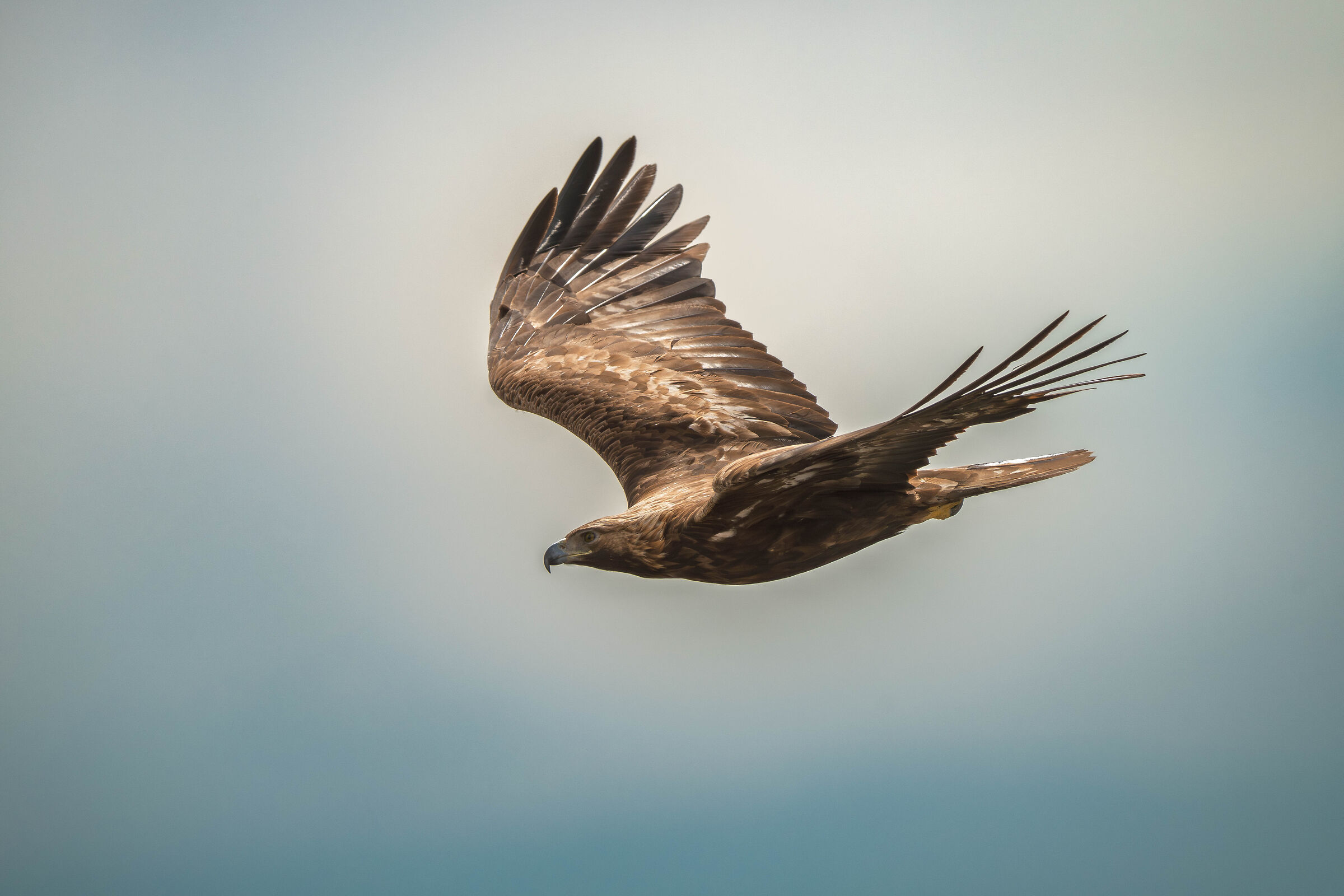 The Queen and the Lake