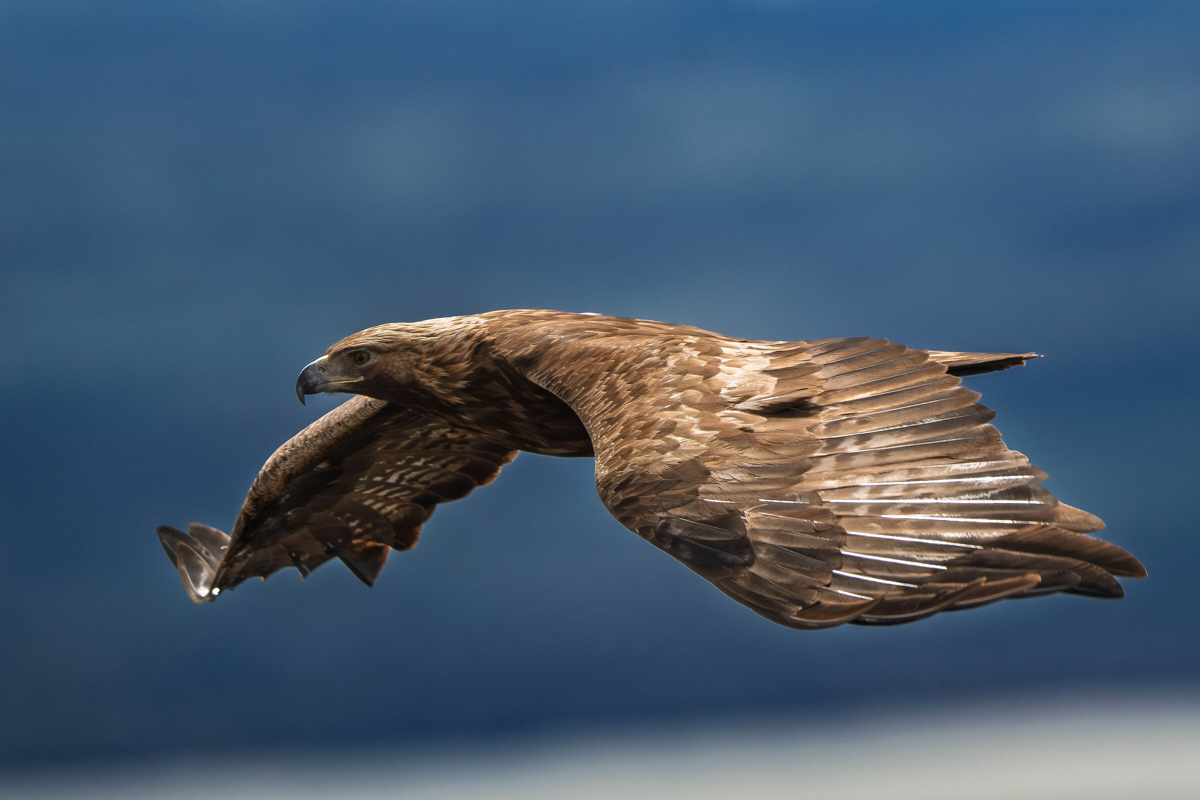 The Queen and the Lake