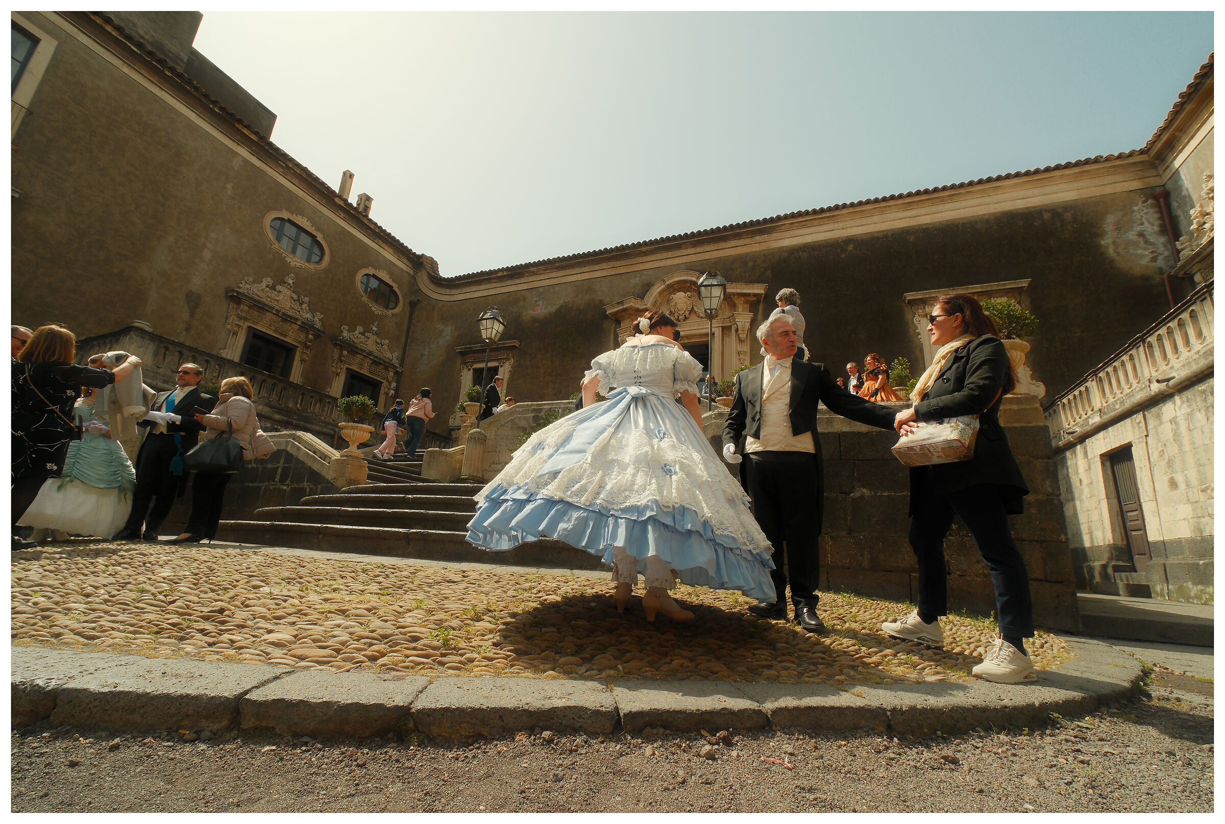 Leopards in the present day