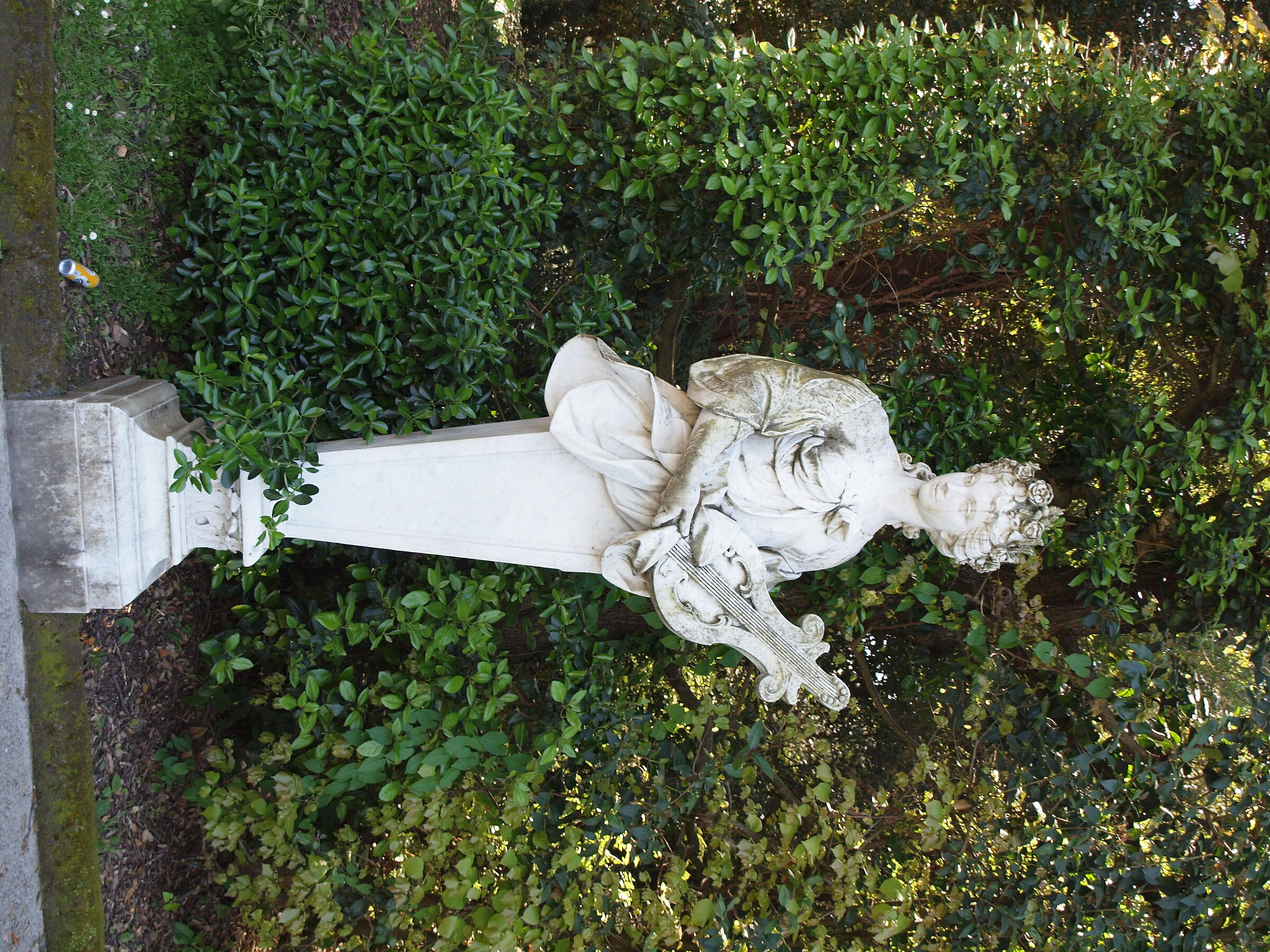 Untitled Photo