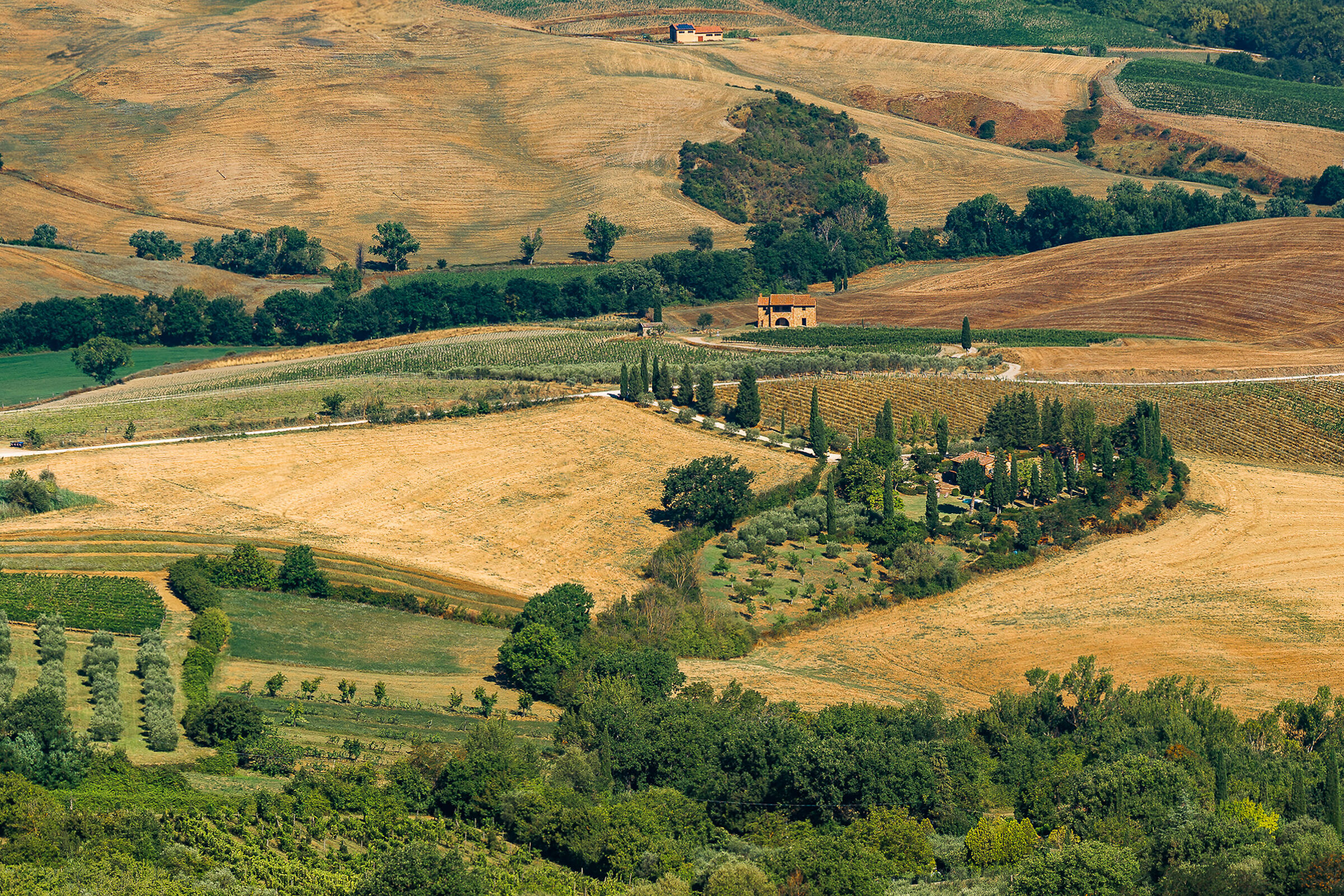 Campestre...