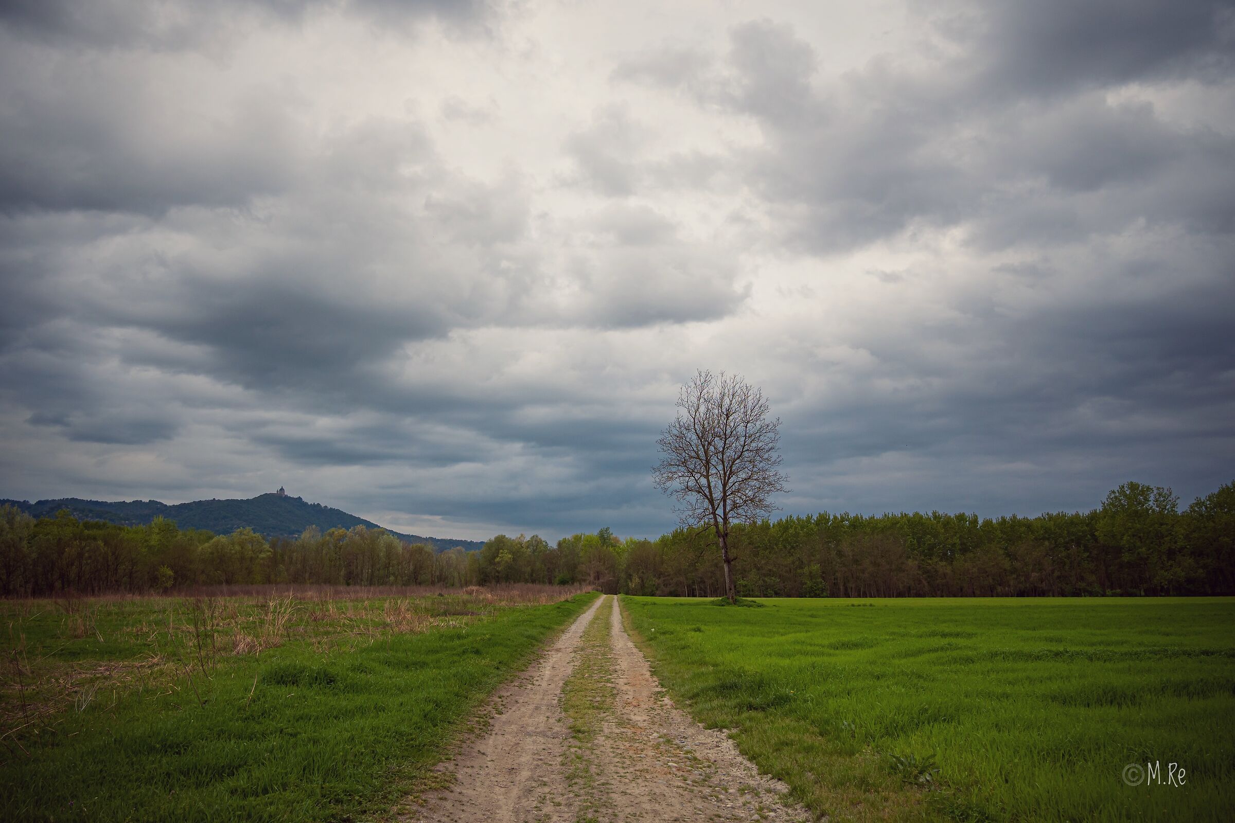 Untitled Photo