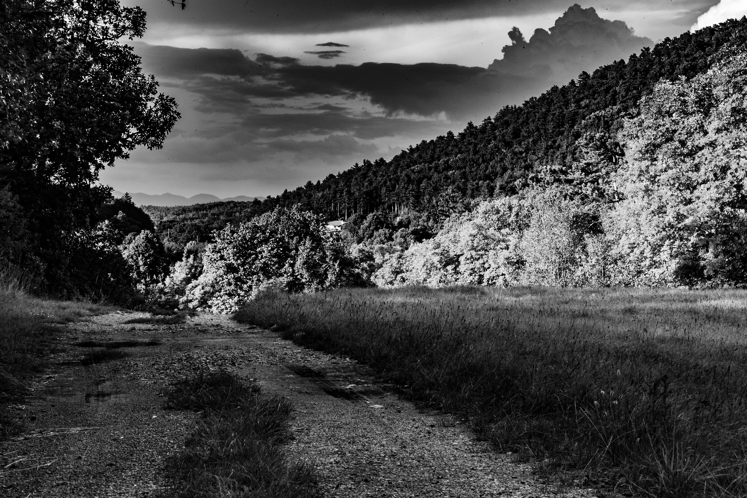 Mi piacerebbe assomigliare a Ansel Adams Mano c'è...