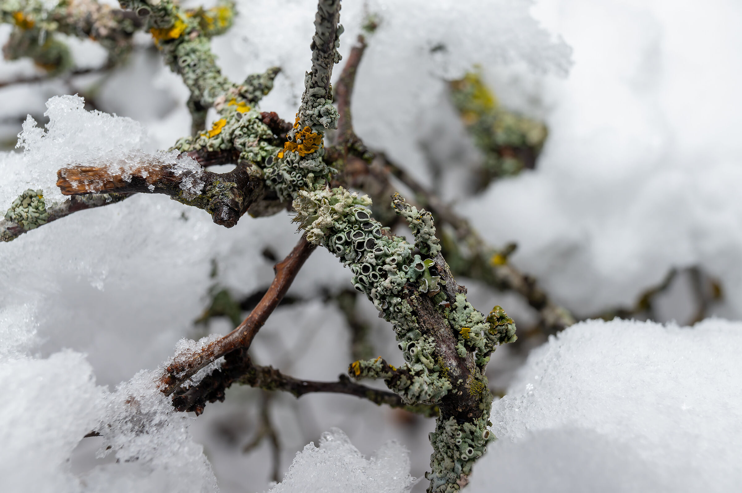 Mount Beshtau,Caucasus, Russia.