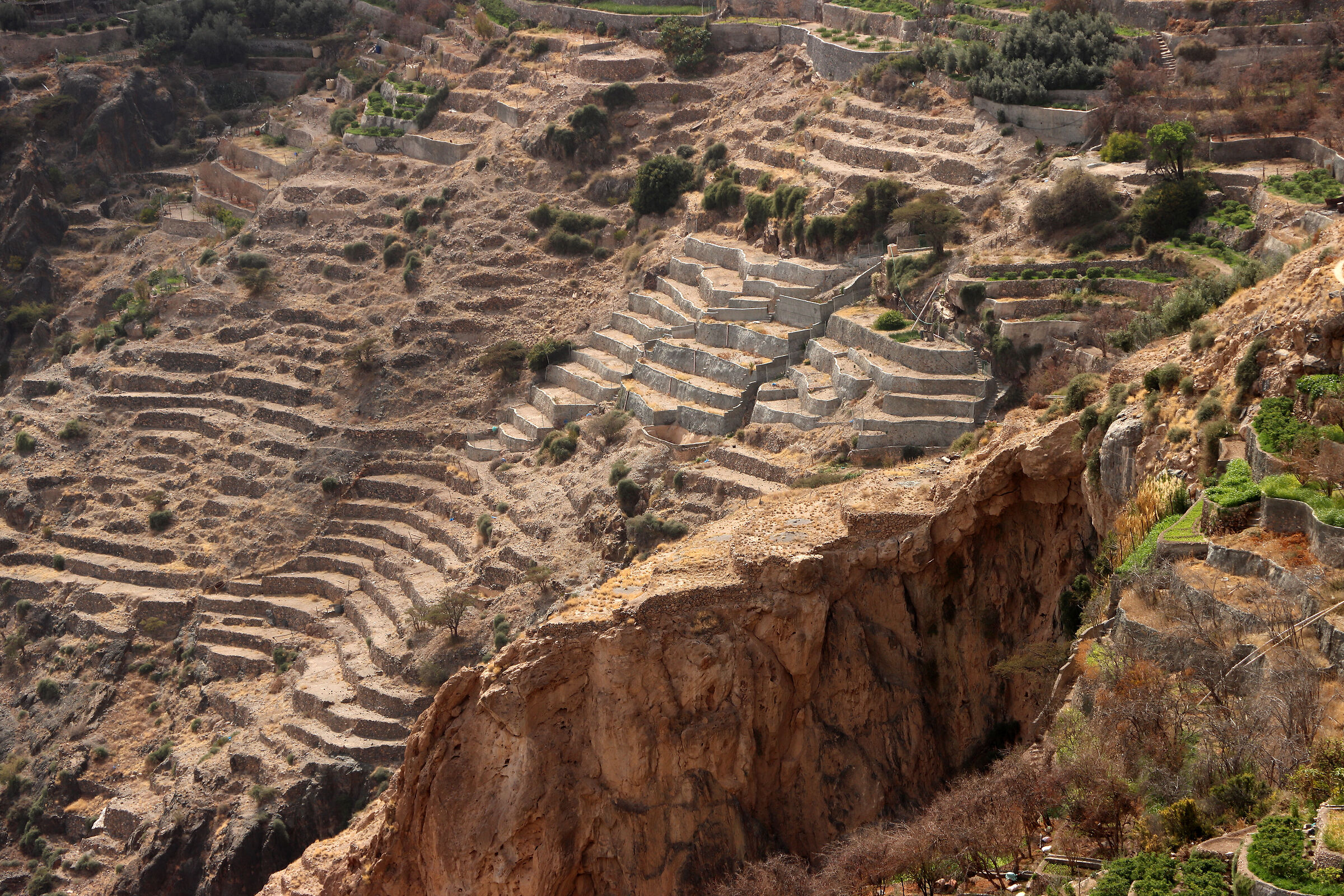 ancient terraces in "Saint Plateau"