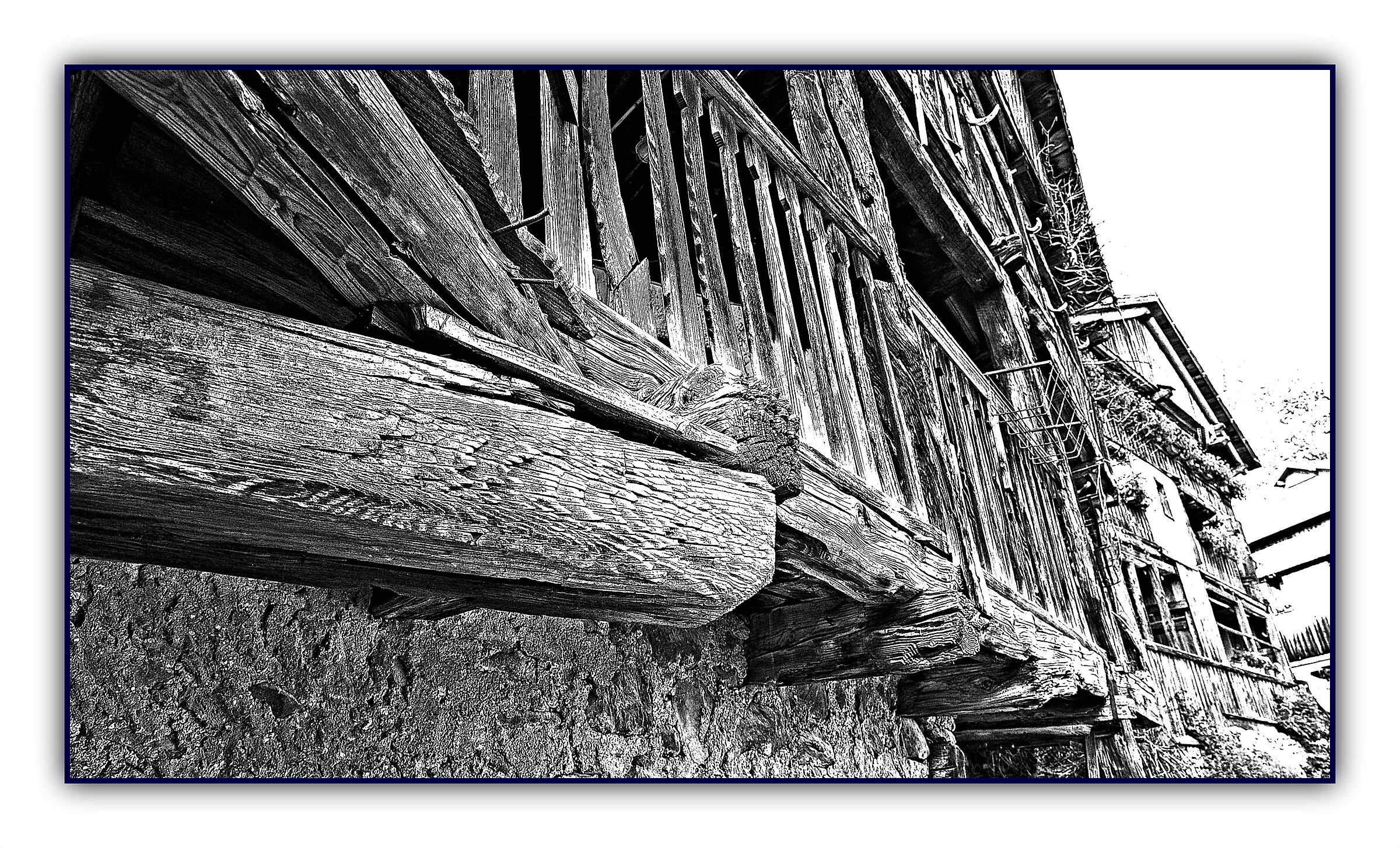 wood and architecture - Detail