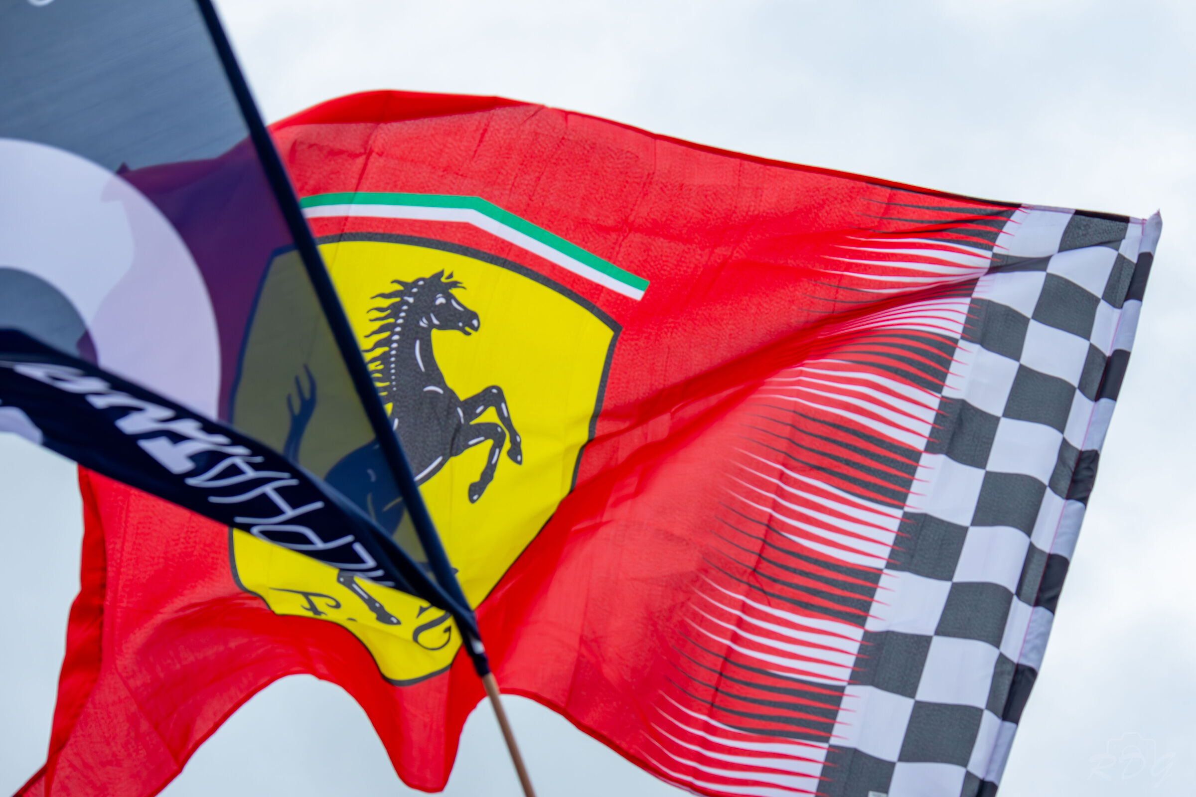 "Prancing Horse"