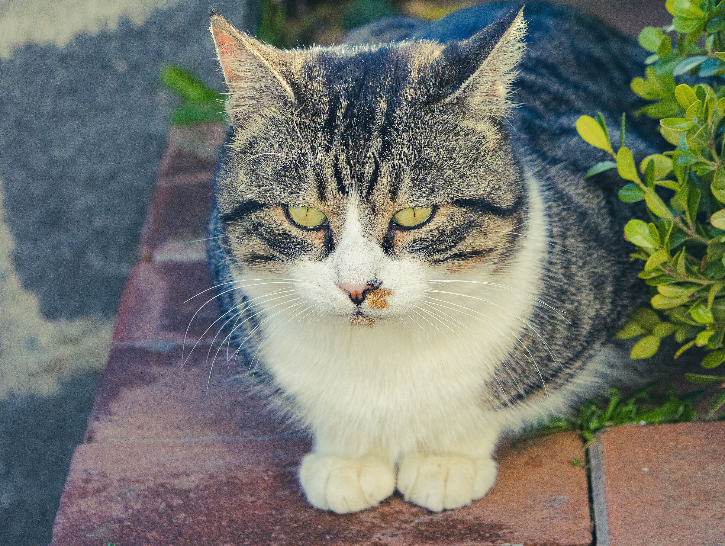 "I'll keep an eye on you"