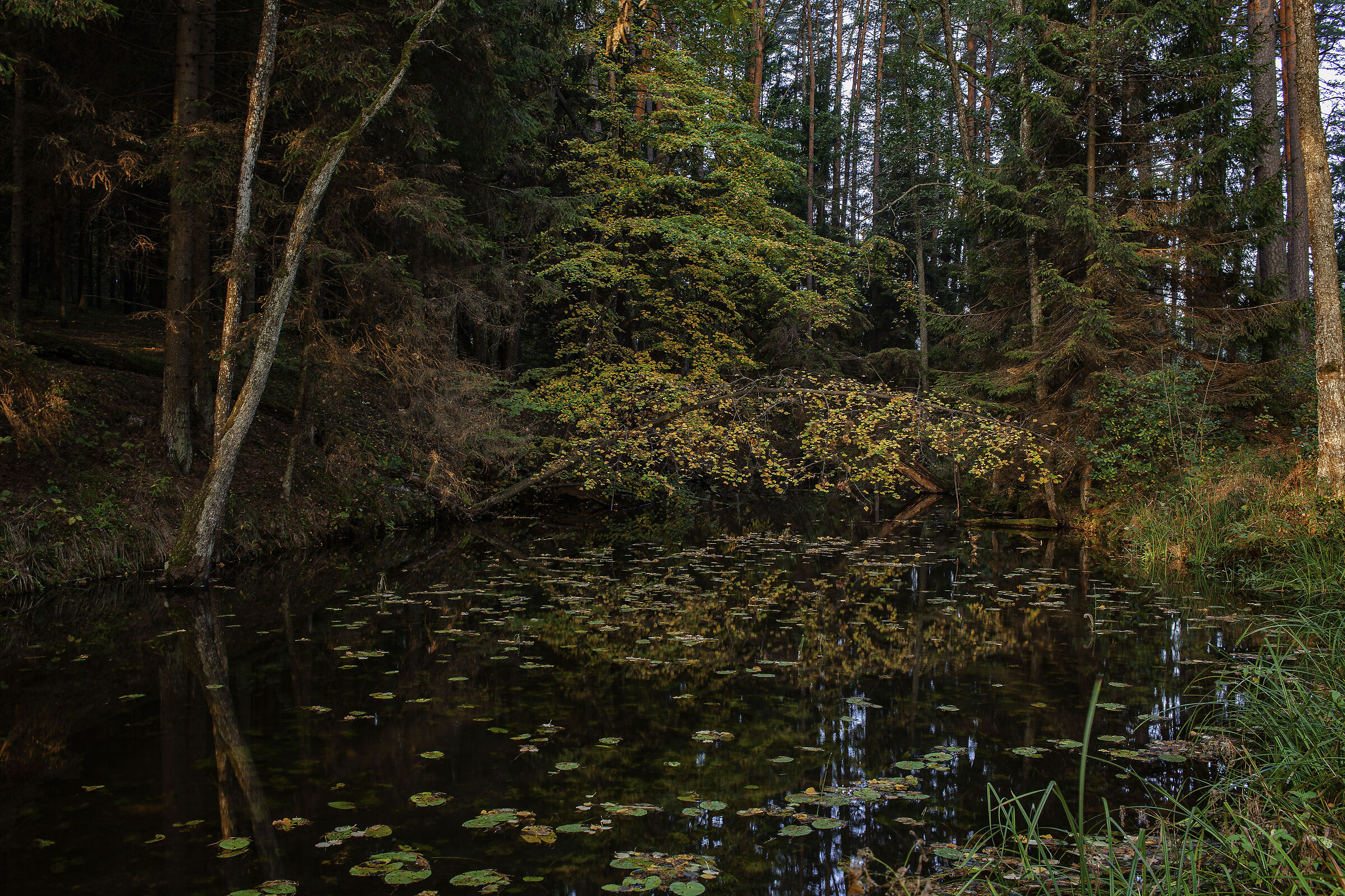 Between two lakes...