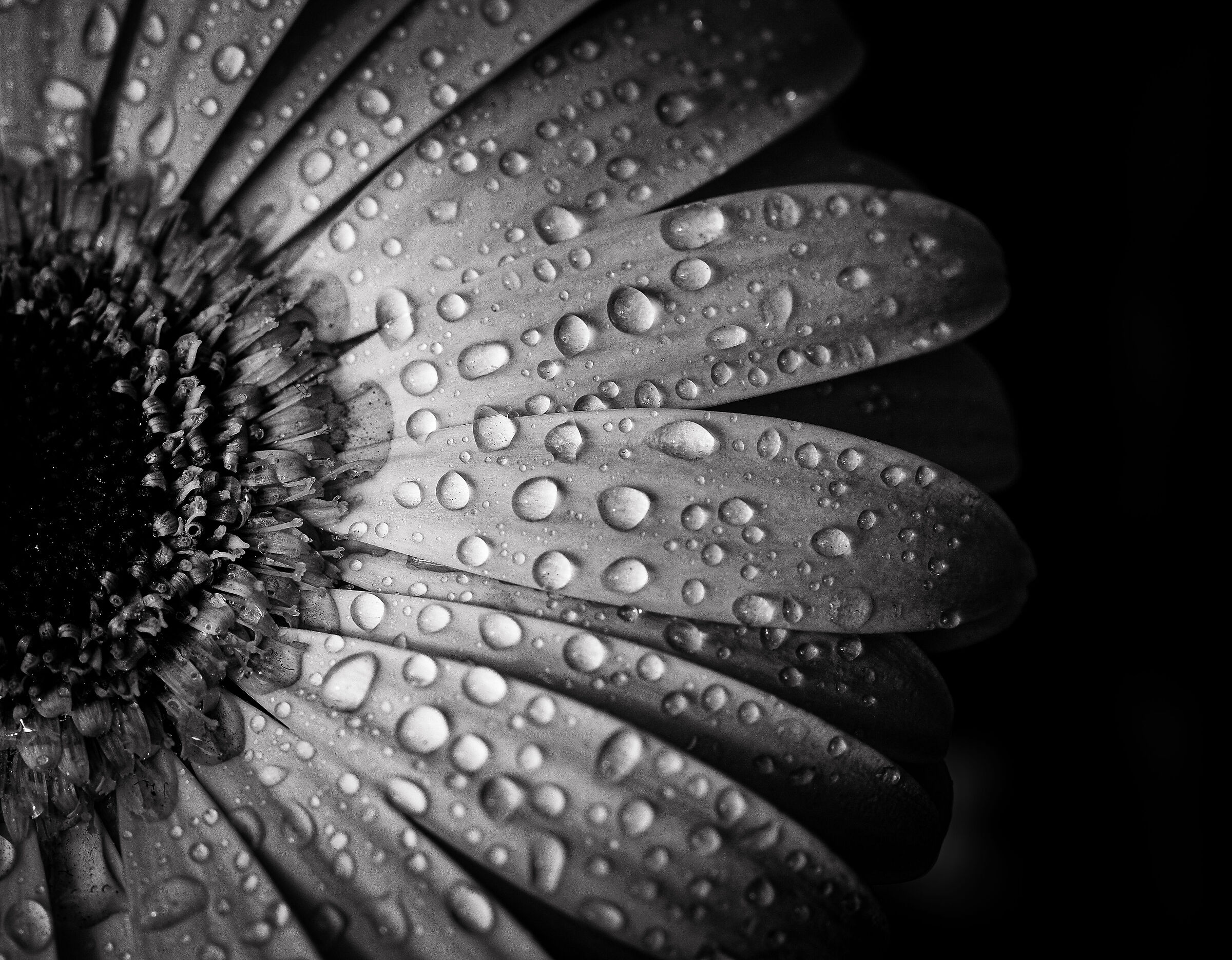 Details in bw