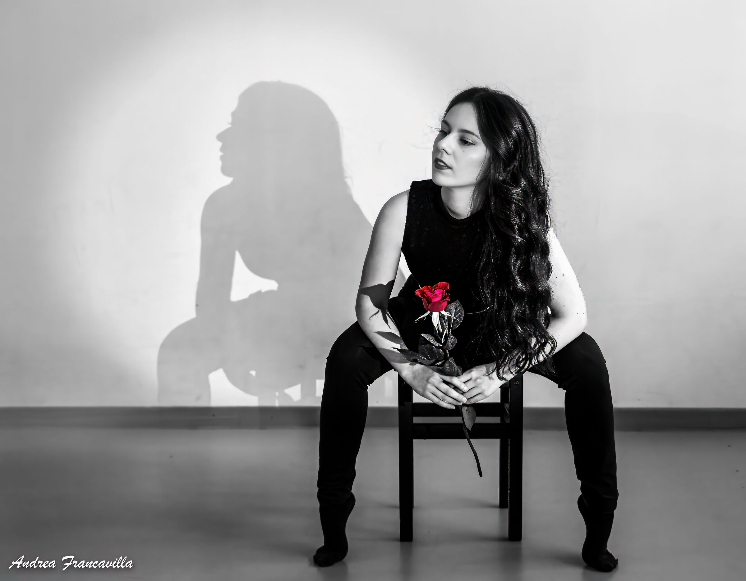 Shadow