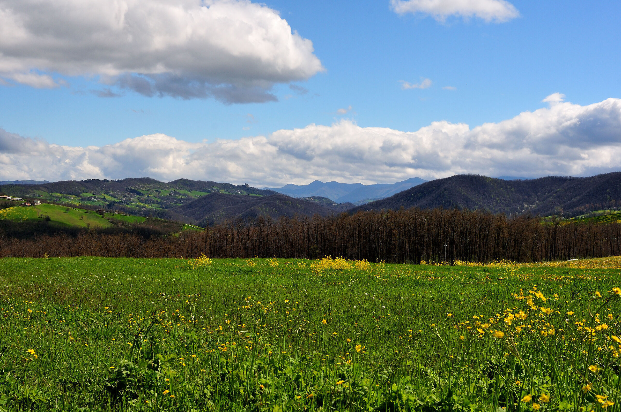 Appennino Modenese 2