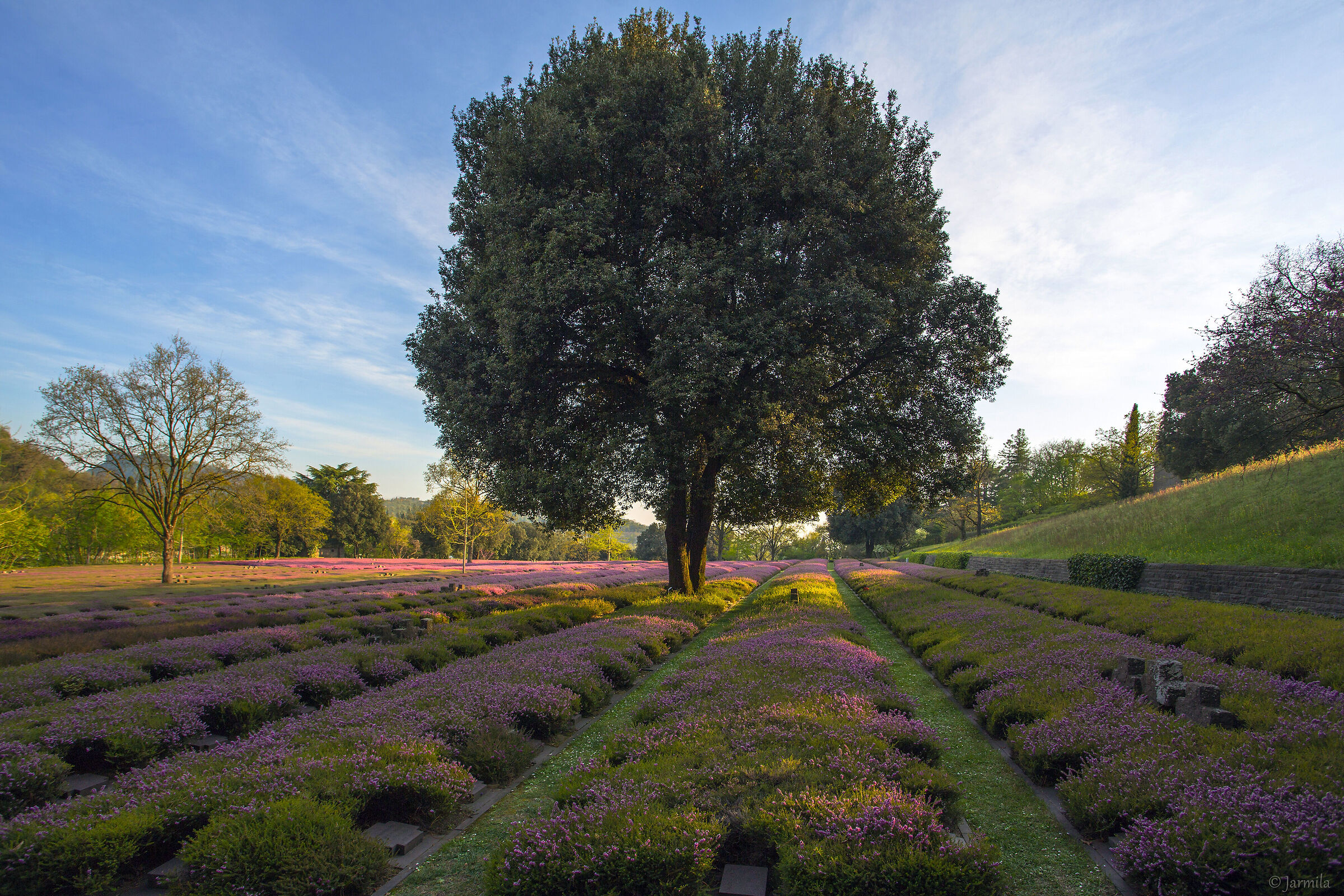 Leccio, il guardiano del cimitero militare