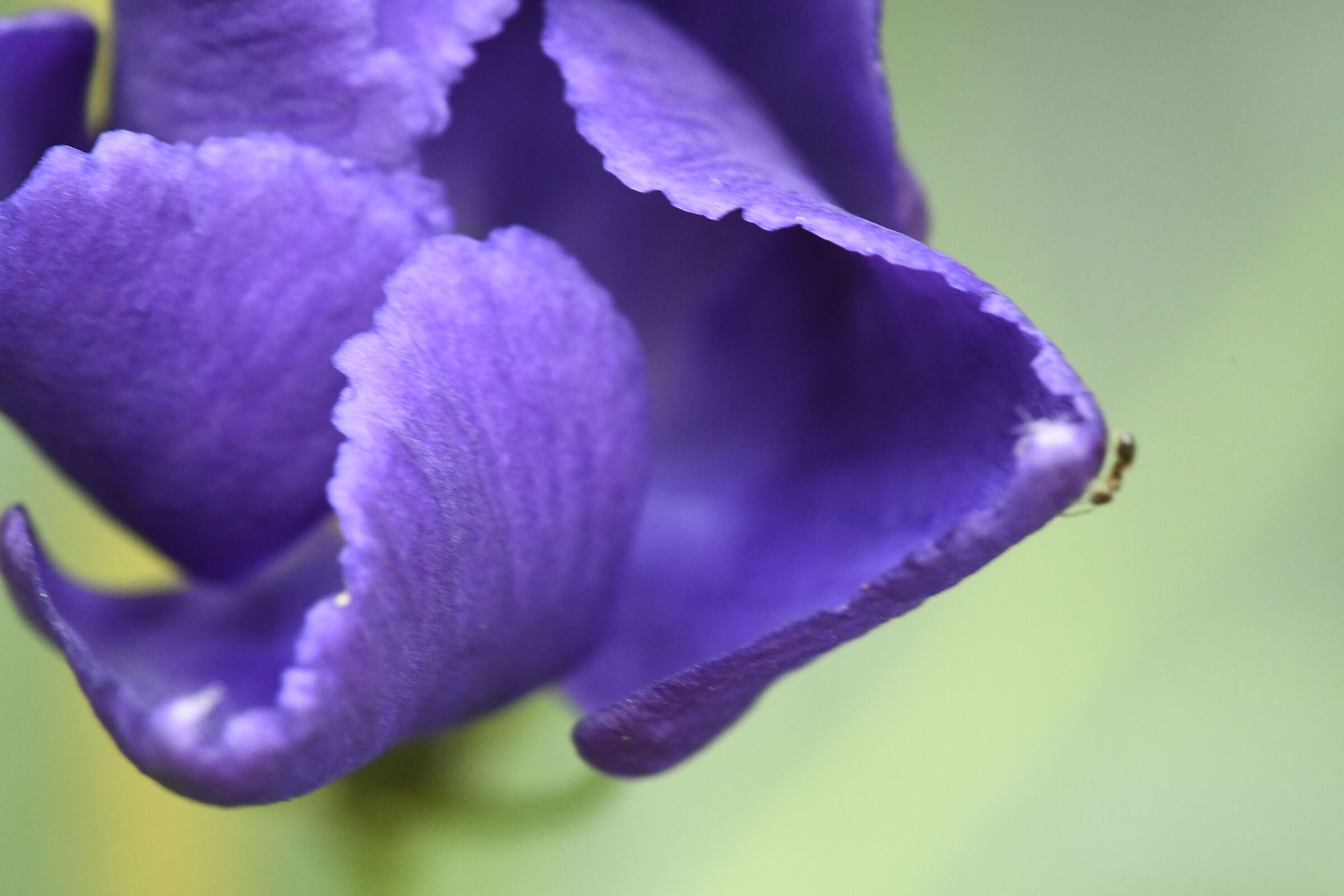 Untitled Photo