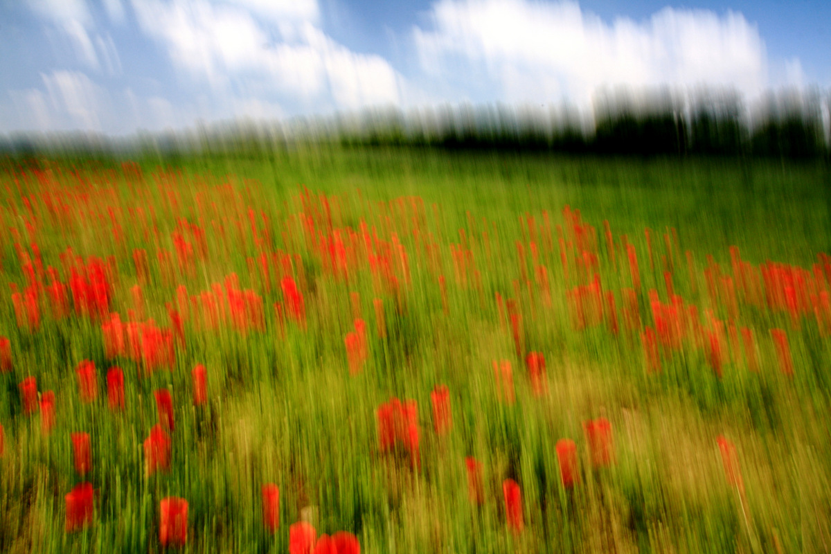 Risveglio a primavera